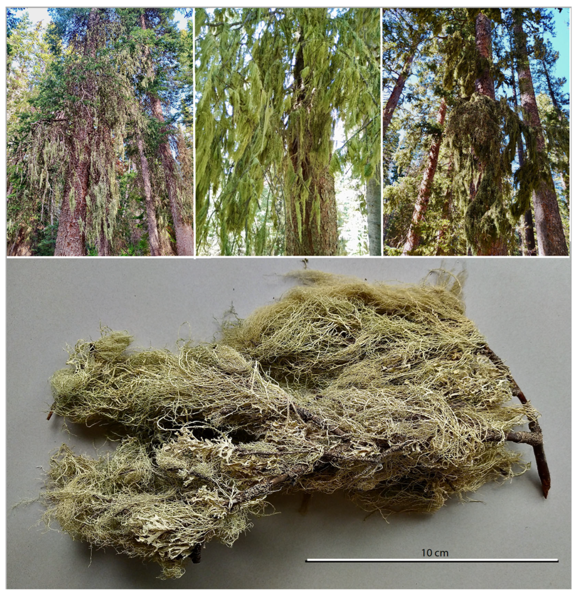 Conservation 02 00037 g002 Conservation 02 00037 g002