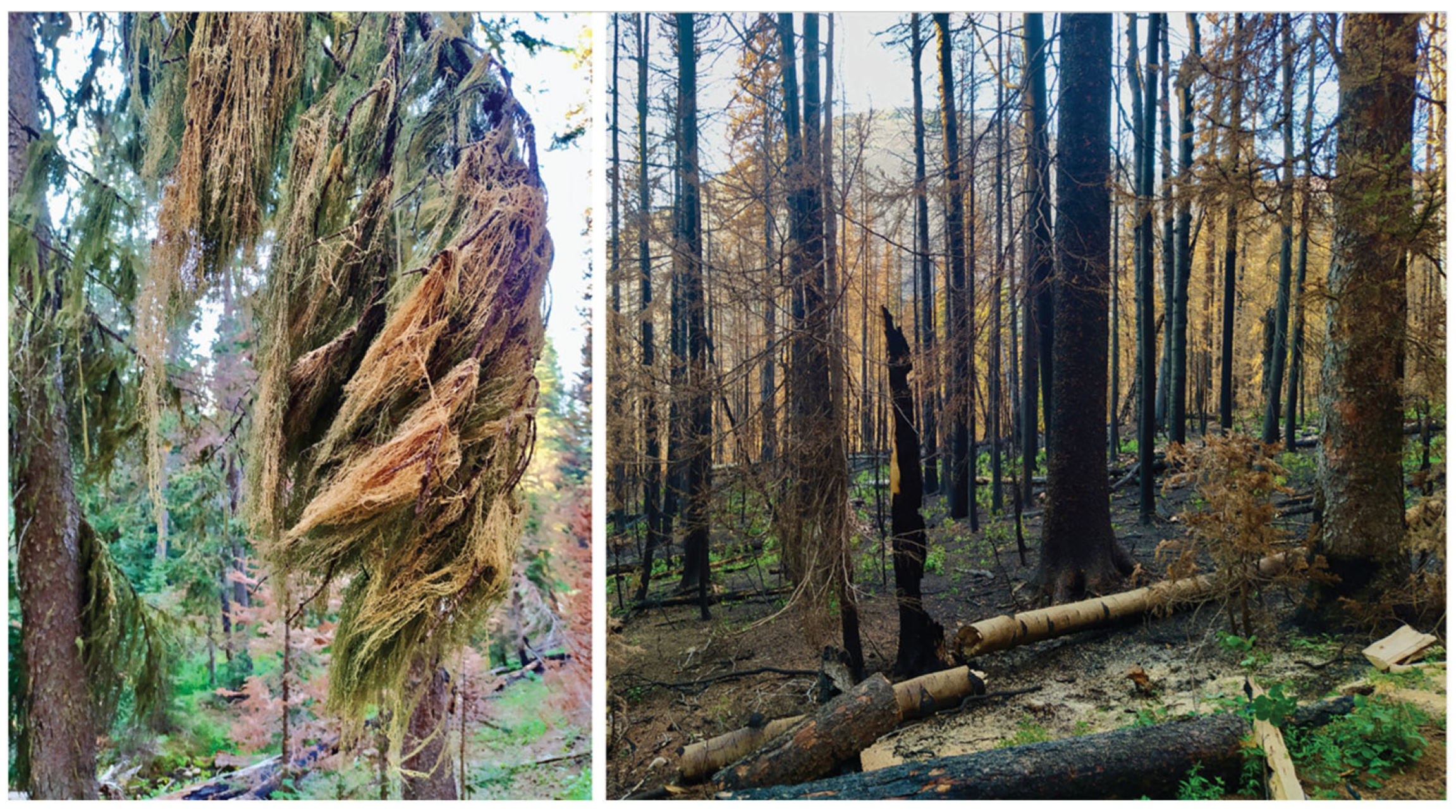 Conservation 02 00037 g005 Conservation 02 00037 g005