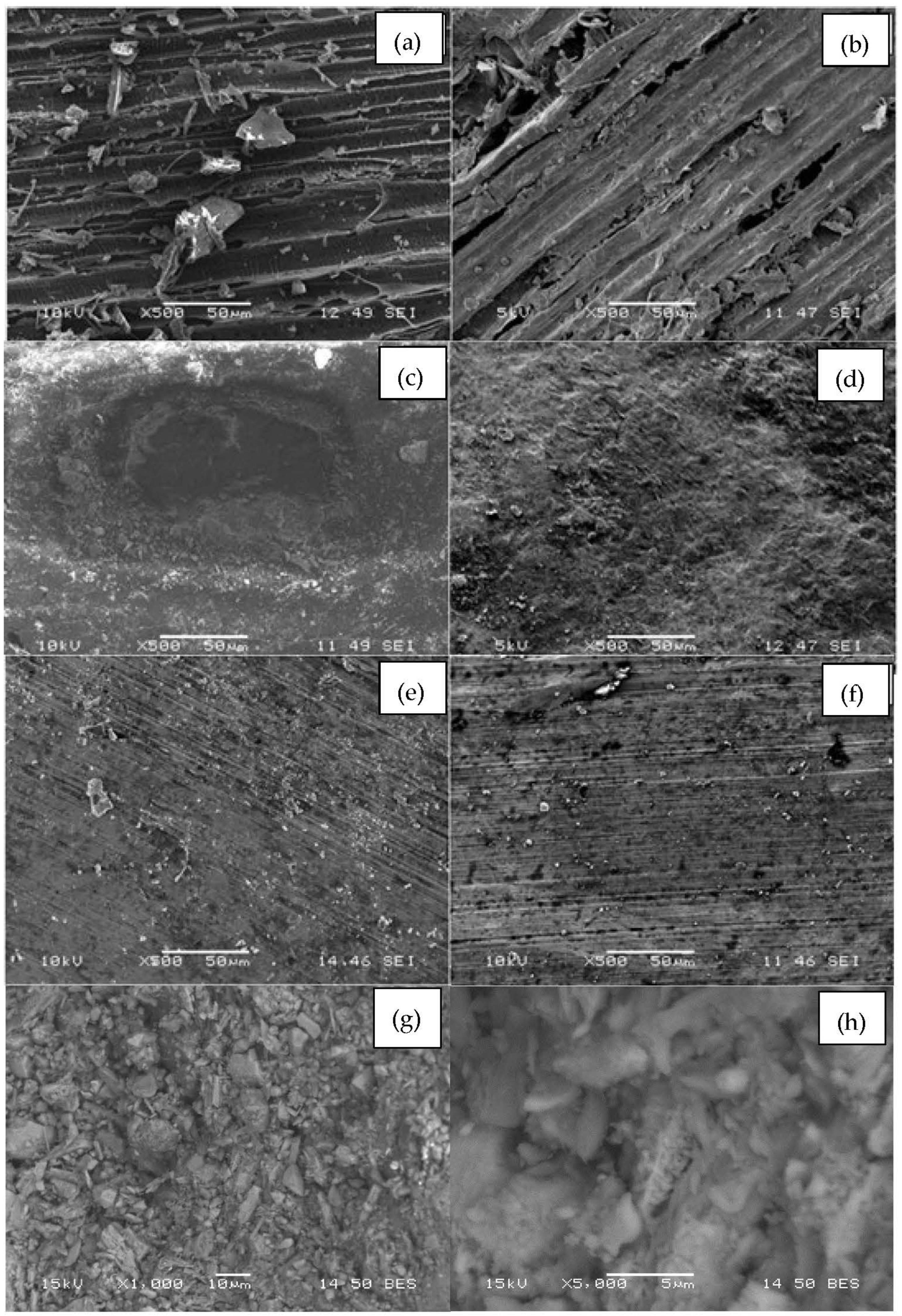Conservation 02 00047 g001 Conservation 02 00047 g001