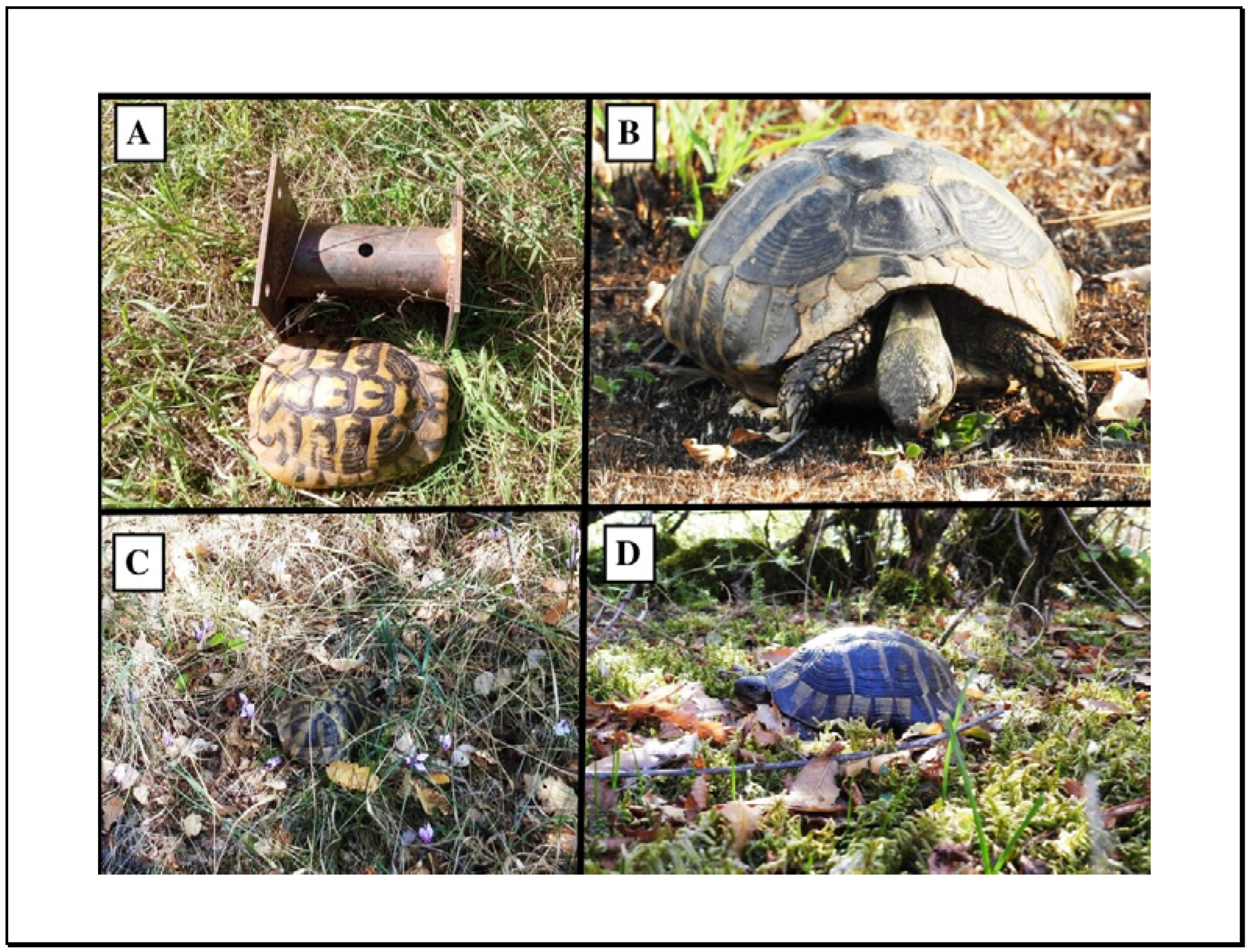 Conservation 03 00005 g001 Conservation 03 00005 g001