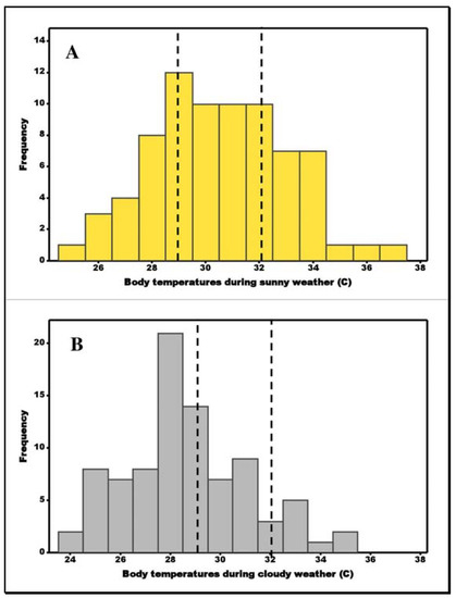 In sexual selection and thermoregulation, bigger is better, at