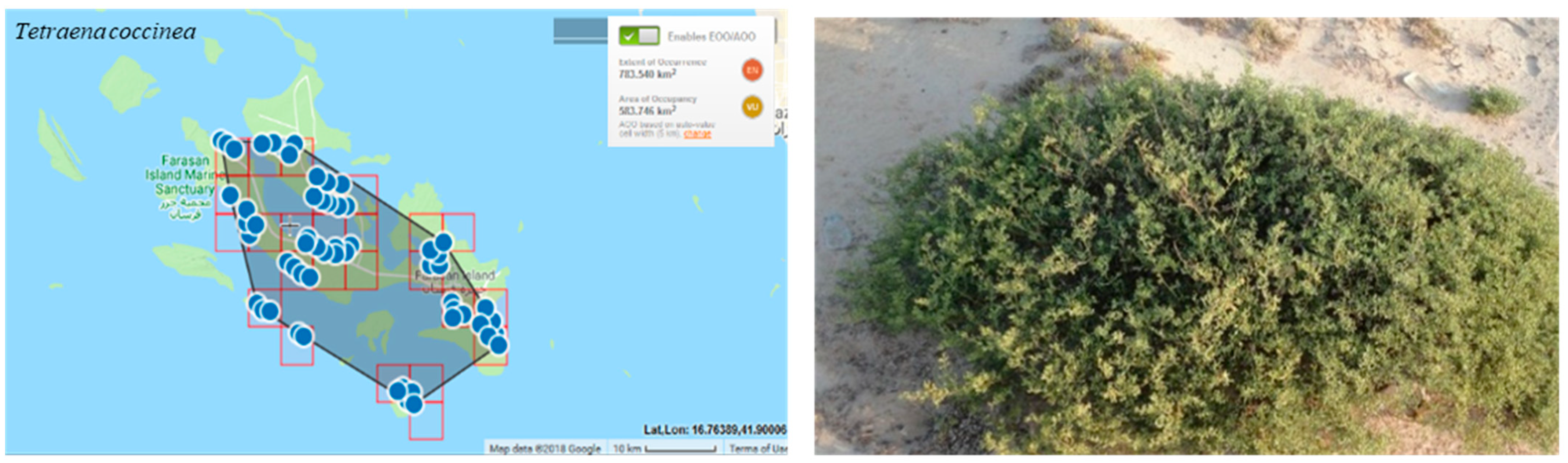 Conservation 03 00011 g007 Conservation 03 00011 g007