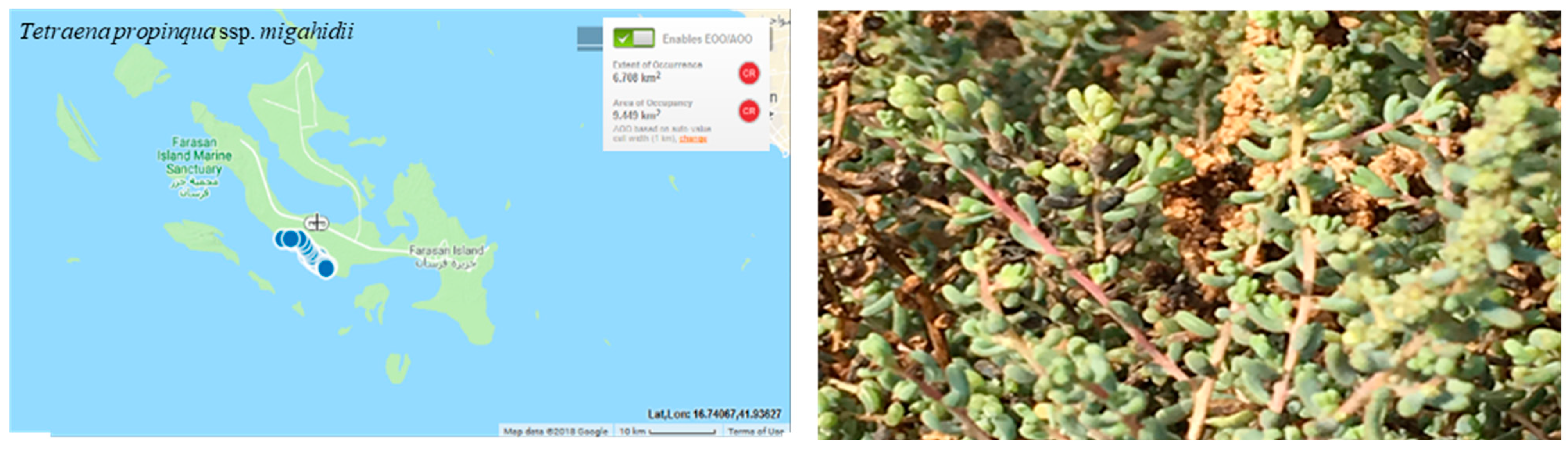 Conservation 03 00011 g008 Conservation 03 00011 g008