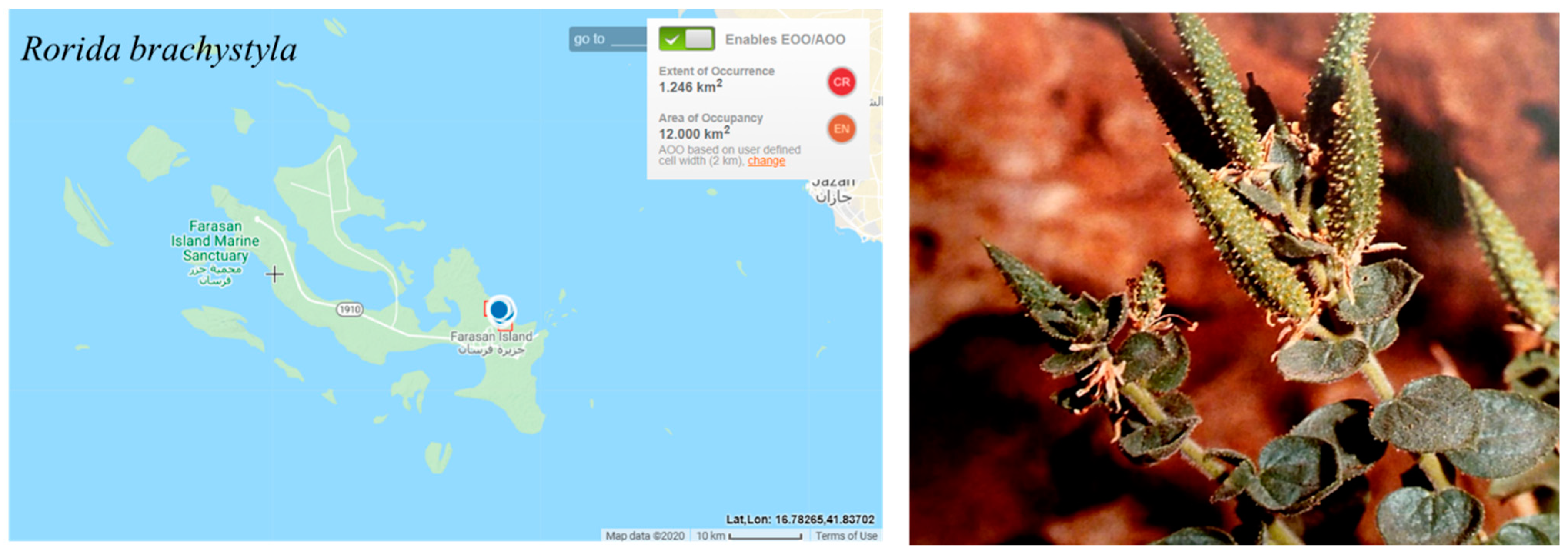 Conservation 03 00011 g013 Conservation 03 00011 g013