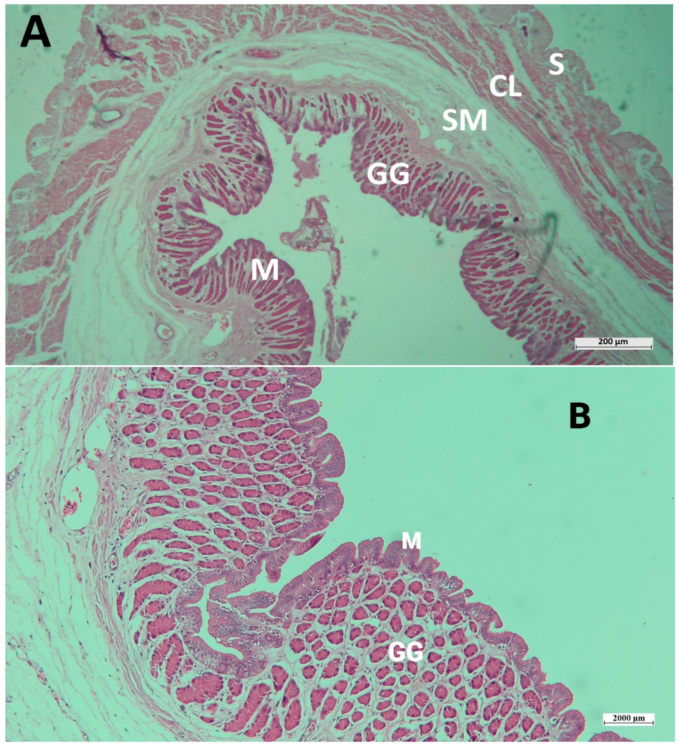 Conservation 03 00013 g006 Conservation 03 00013 g006