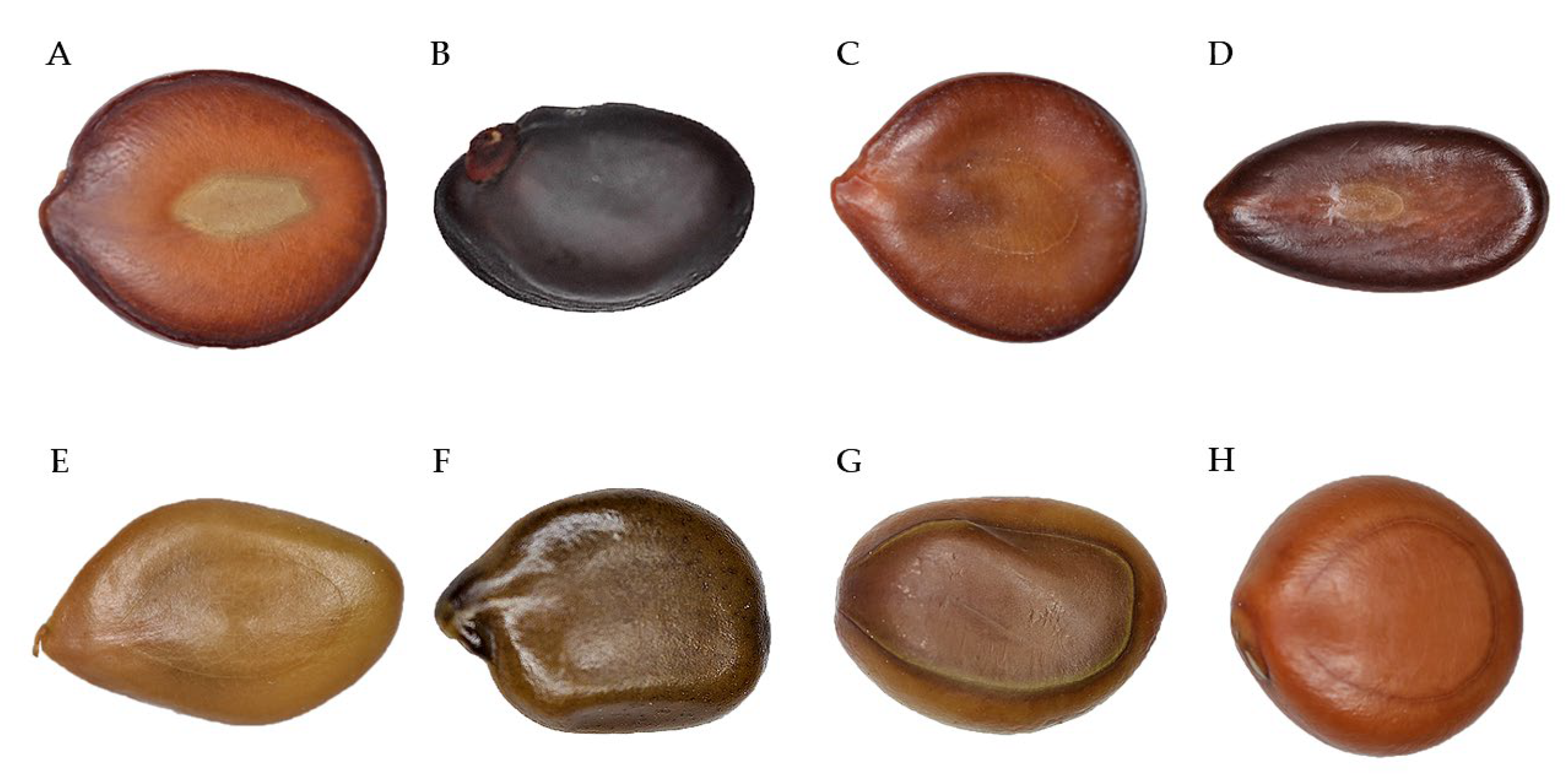 Conservation 03 00019 g001 Conservation 03 00019 g001