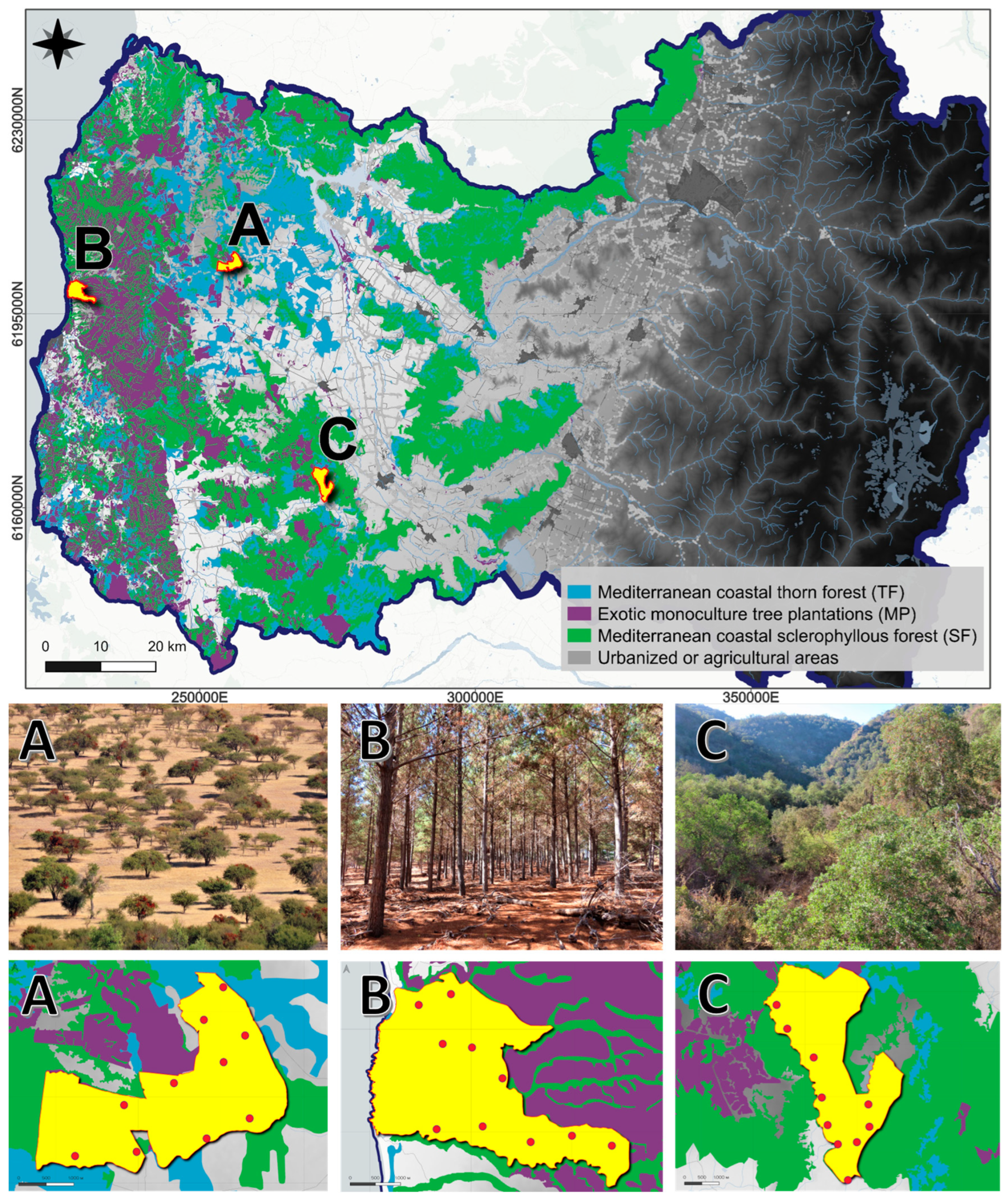 Conservation Free Full-Text Native Carnivore Diversity and Relative Abundance in Landscapes of the Coast Range in Central Chile Insights for Conservation Decision-Making