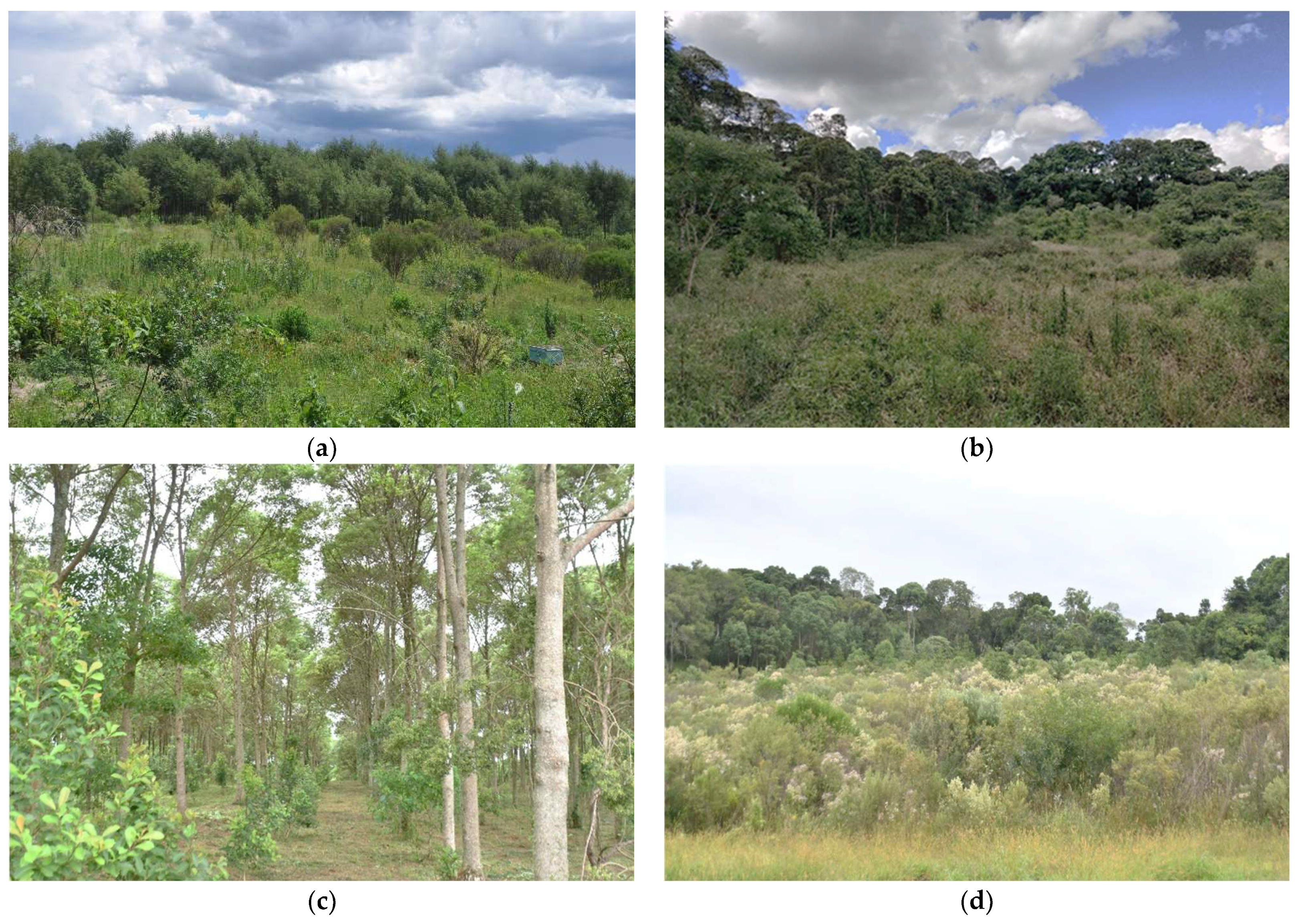 Conservation 03 00027 g003