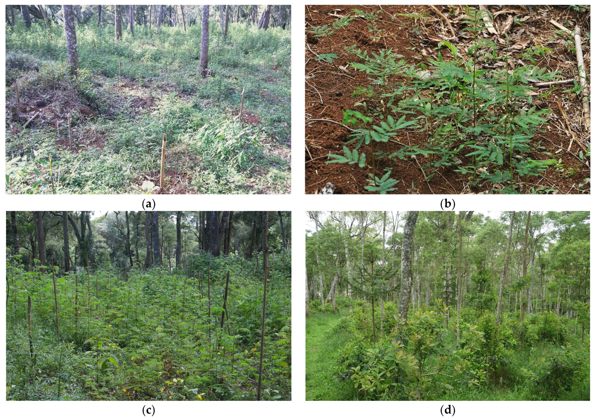 Conservation 03 00027 g004