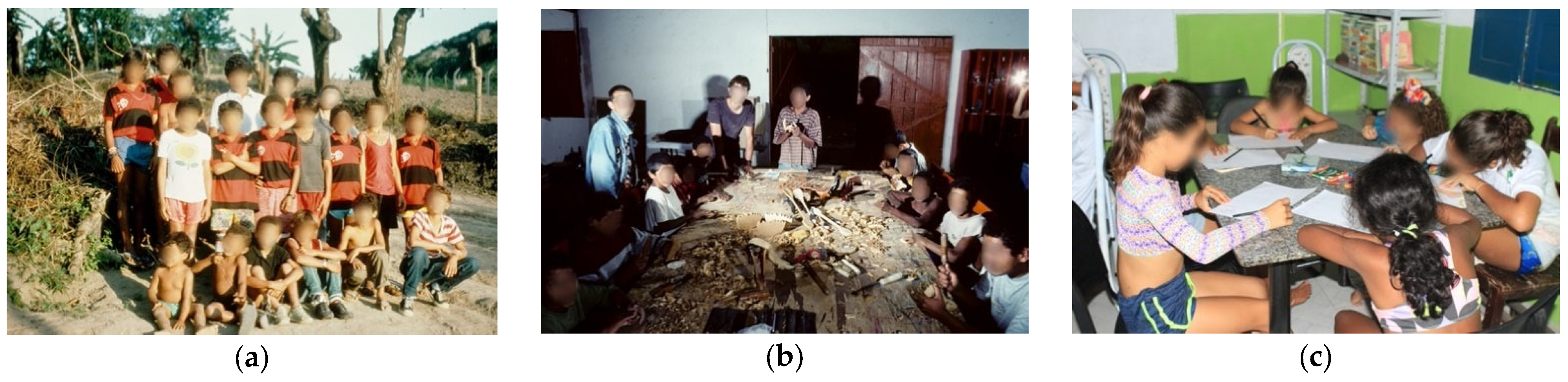 Conservation 03 00037 g008