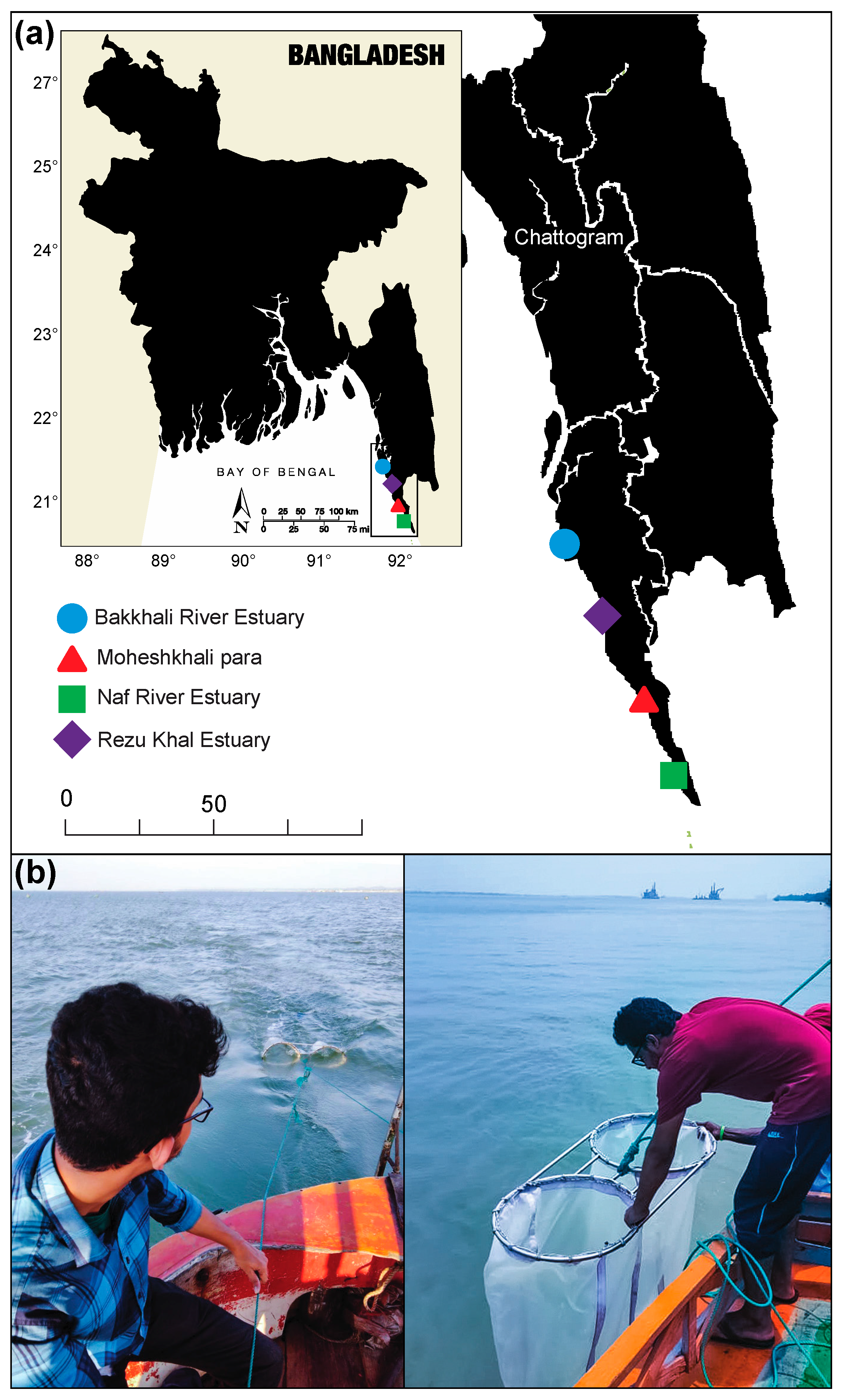 Conservation 04 00003 g001