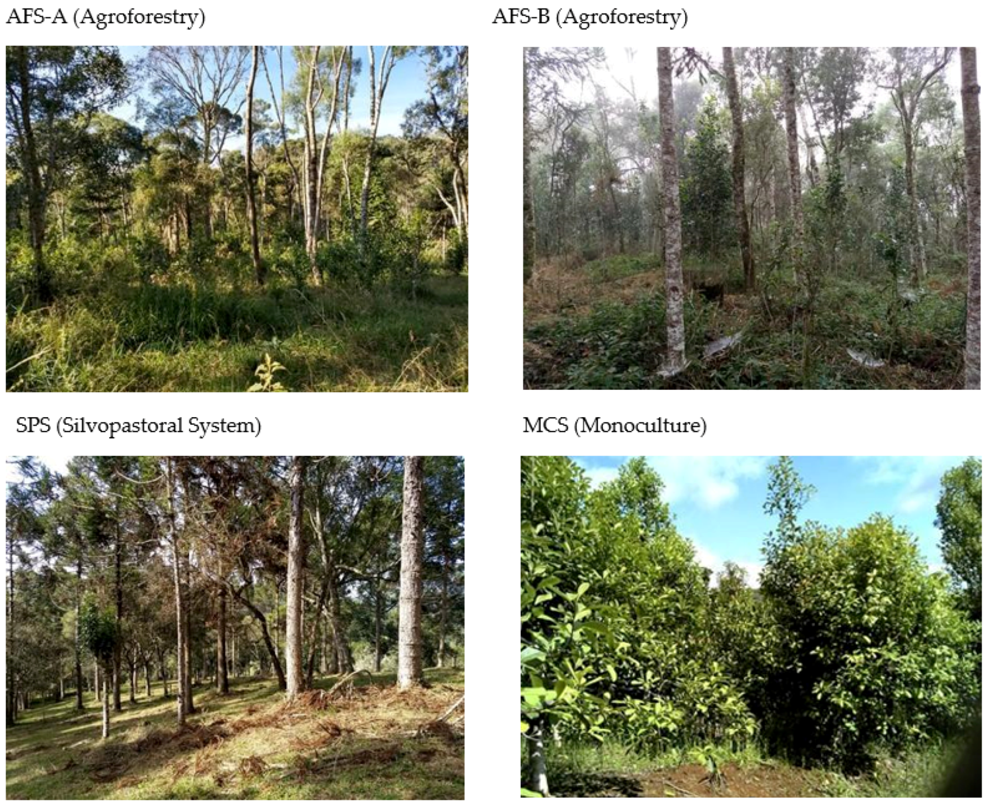 Conservation 04 00009 g001 Conservation 04 00009 g001