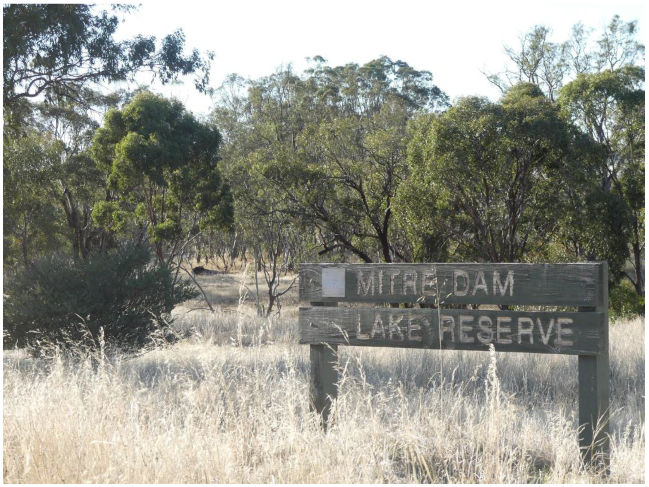 Conservation 04 00013 g002