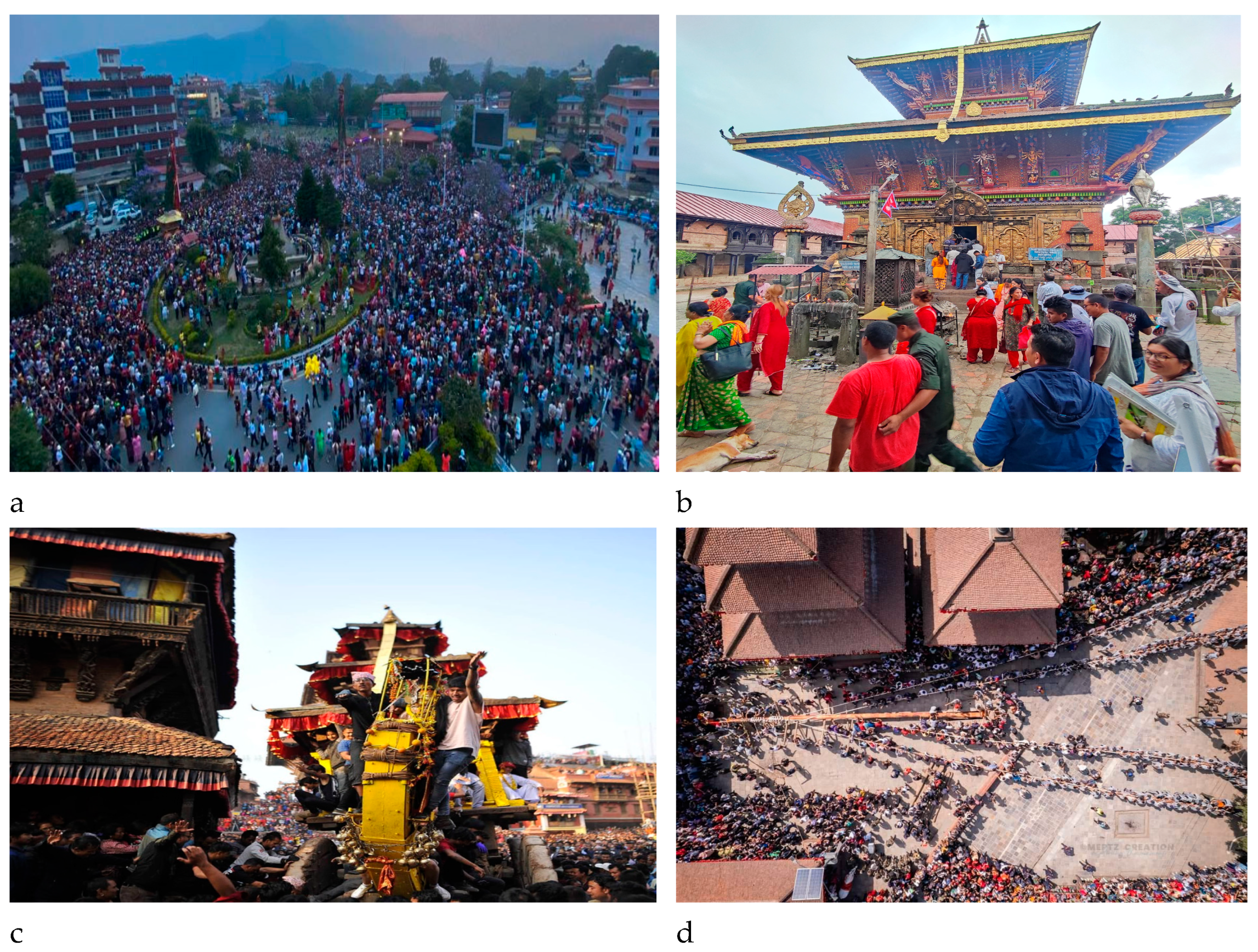 Conservation 04 00015 g001