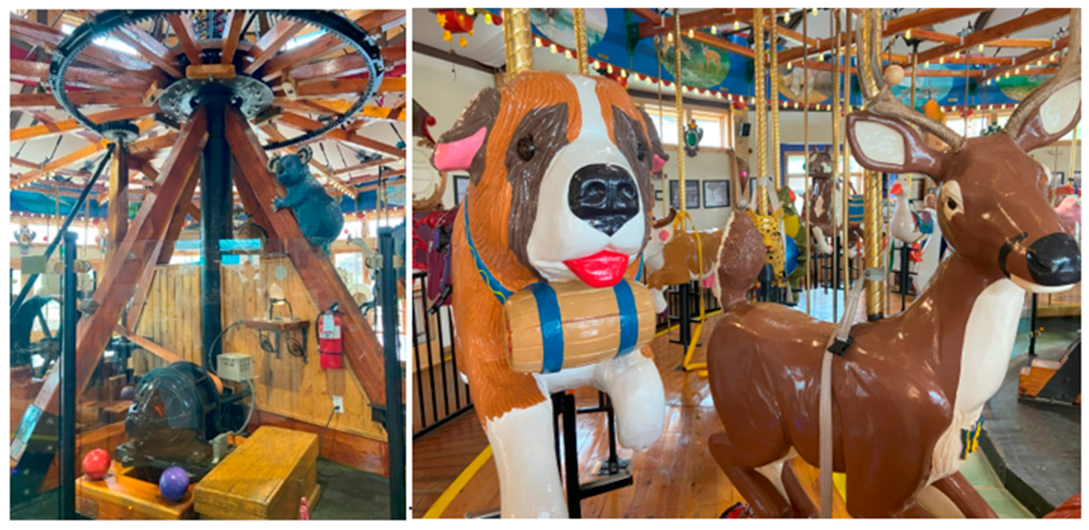 Conservation 04 00017 g002 Conservation 04 00017 g002