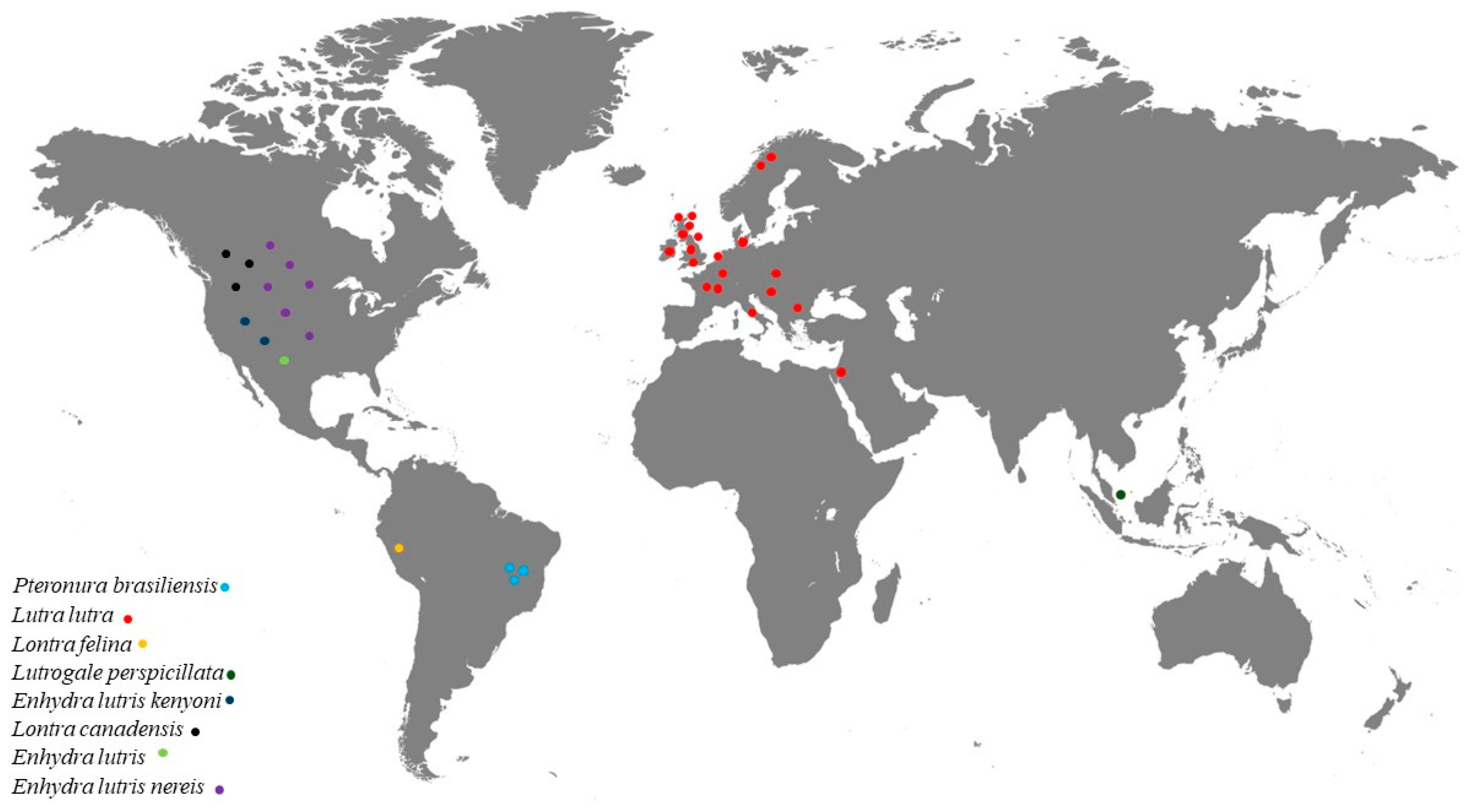 Conservation 04 00020 g001