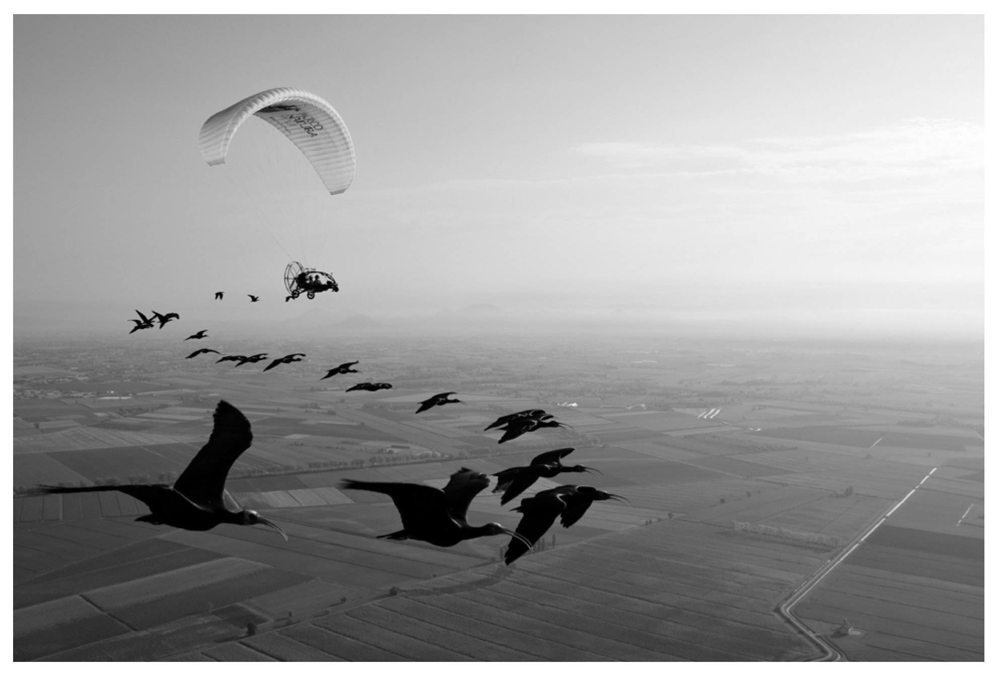 Conservation 04 00044 g002