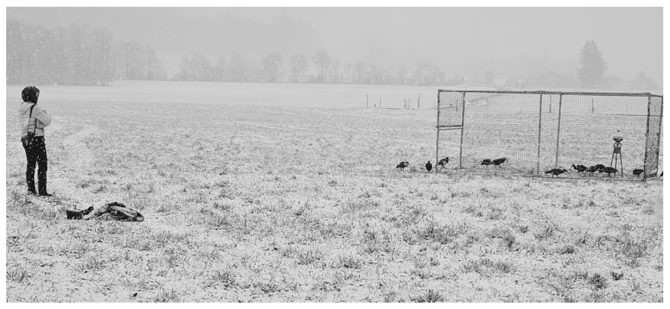 Conservation 04 00044 g006