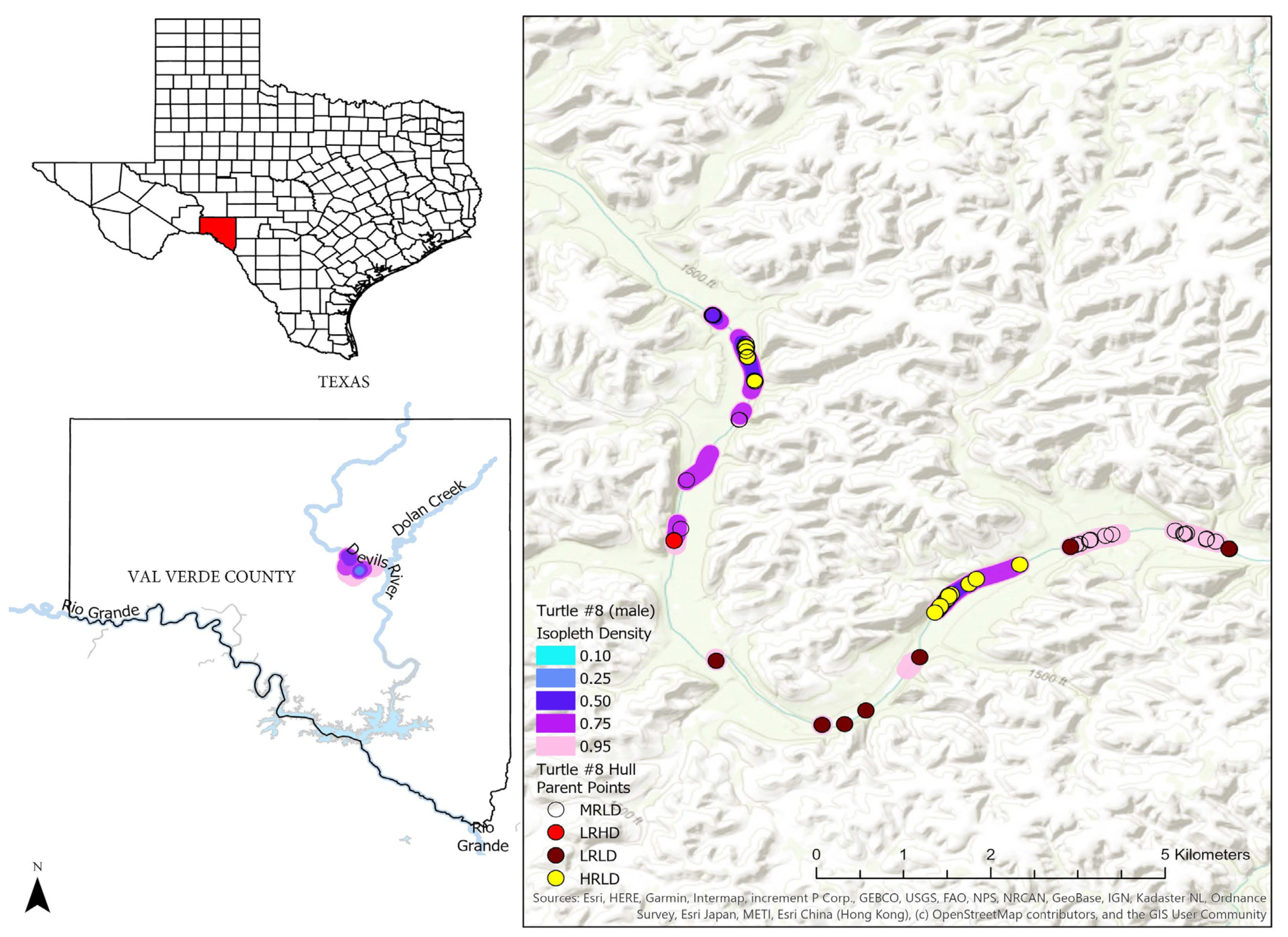 Conservation 05 00006 g005
