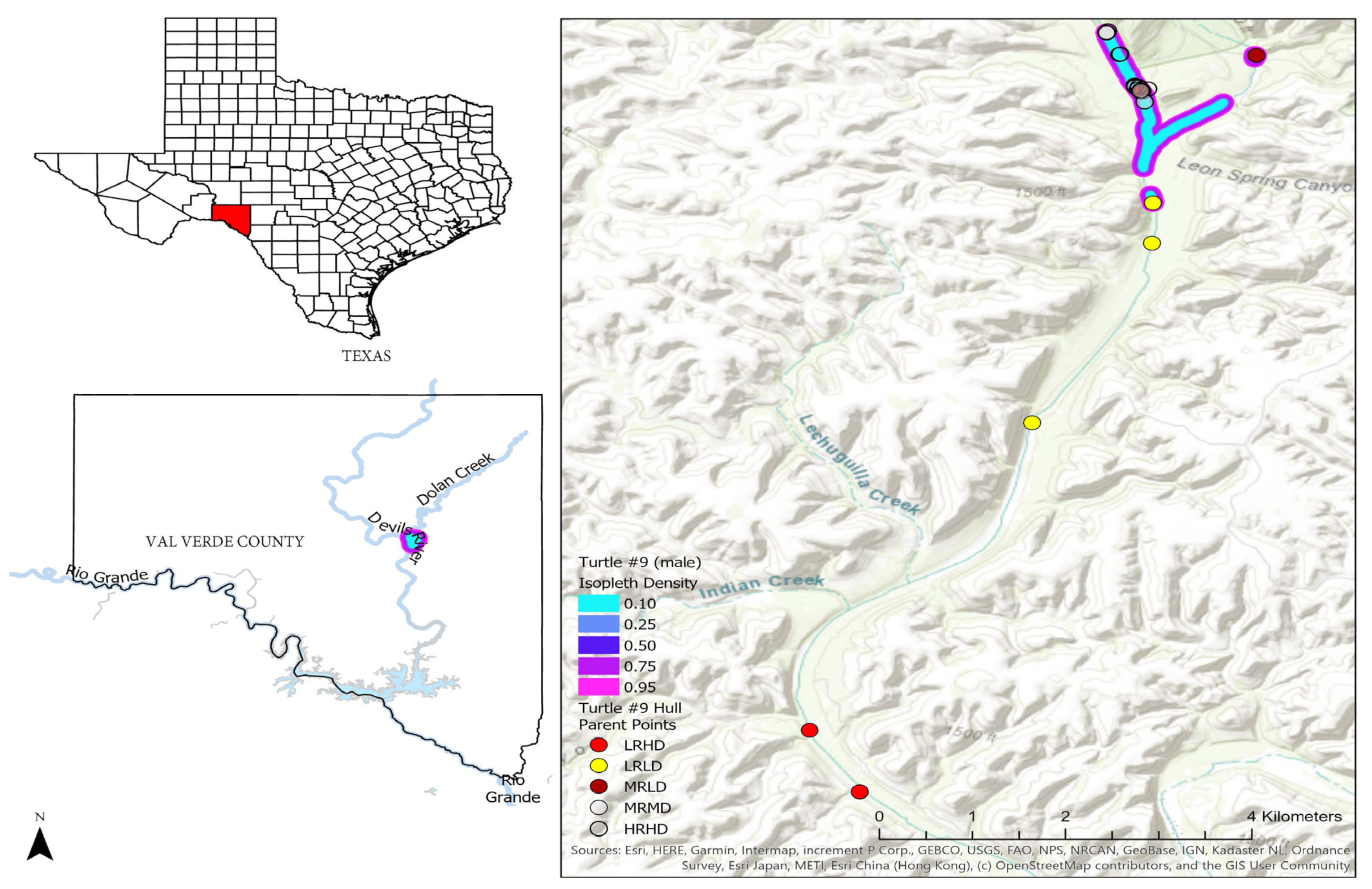Conservation 05 00006 g006
