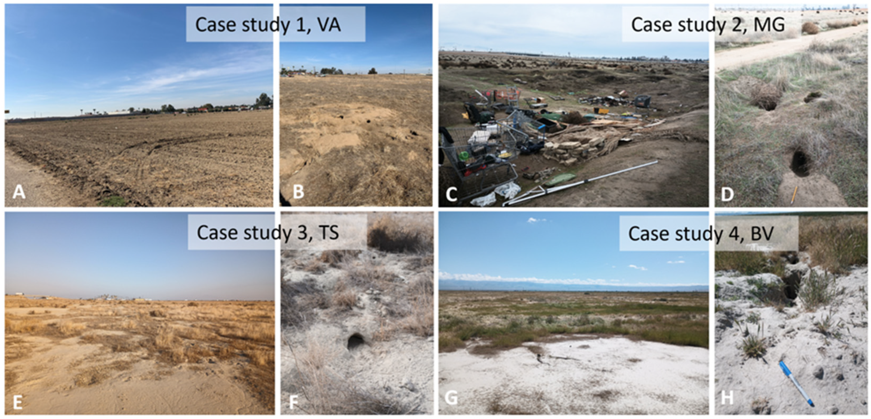 Conservation 05 00008 g002