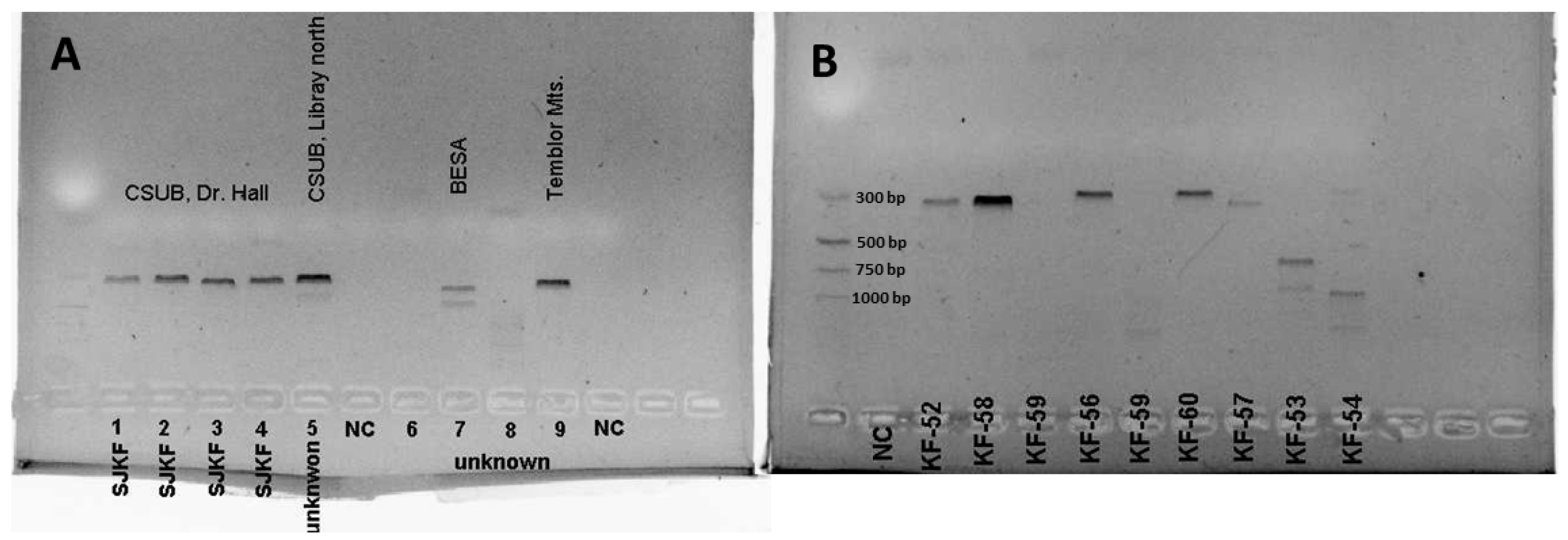 Conservation 05 00008 g003