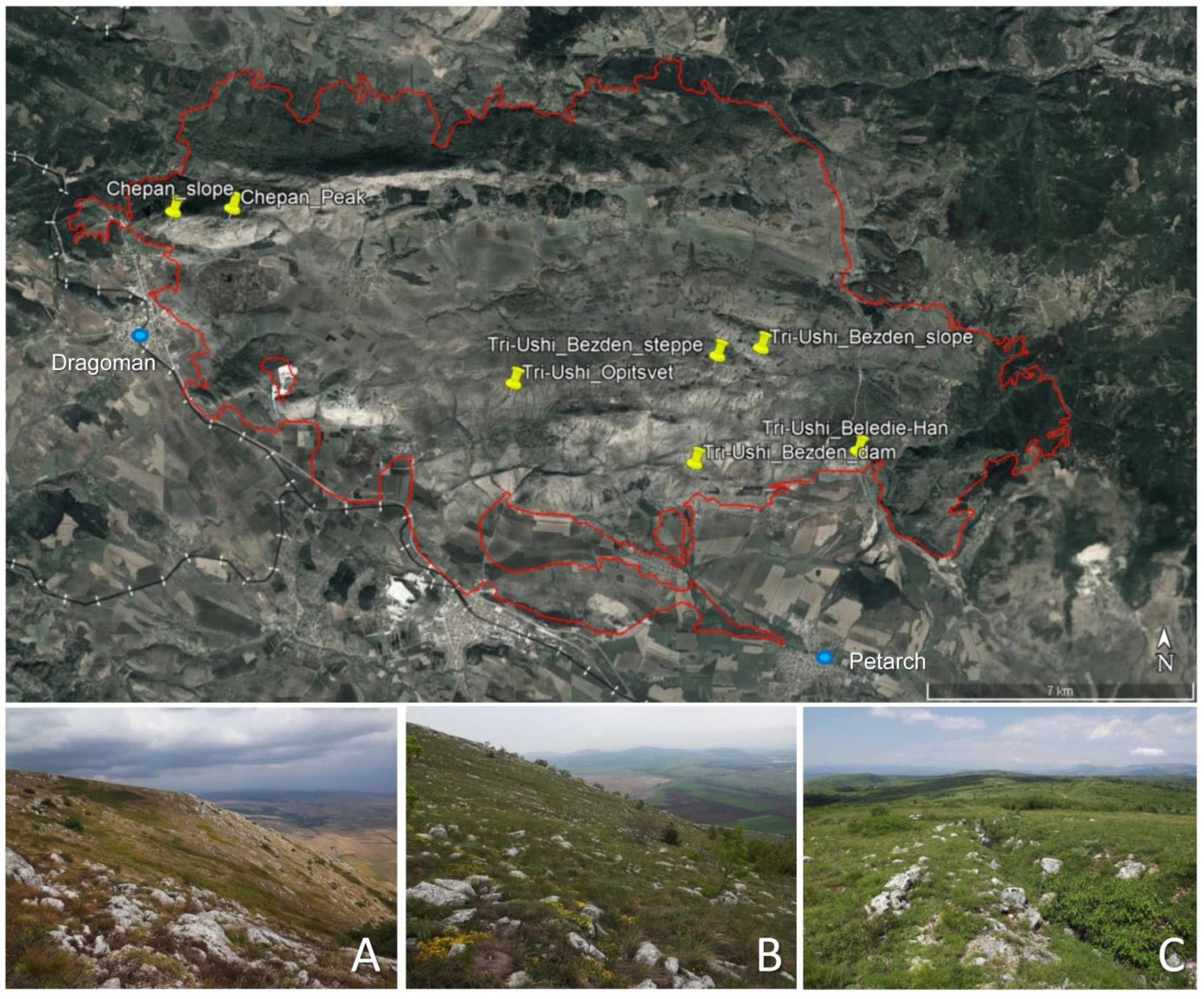 Conservation 05 00018 g002