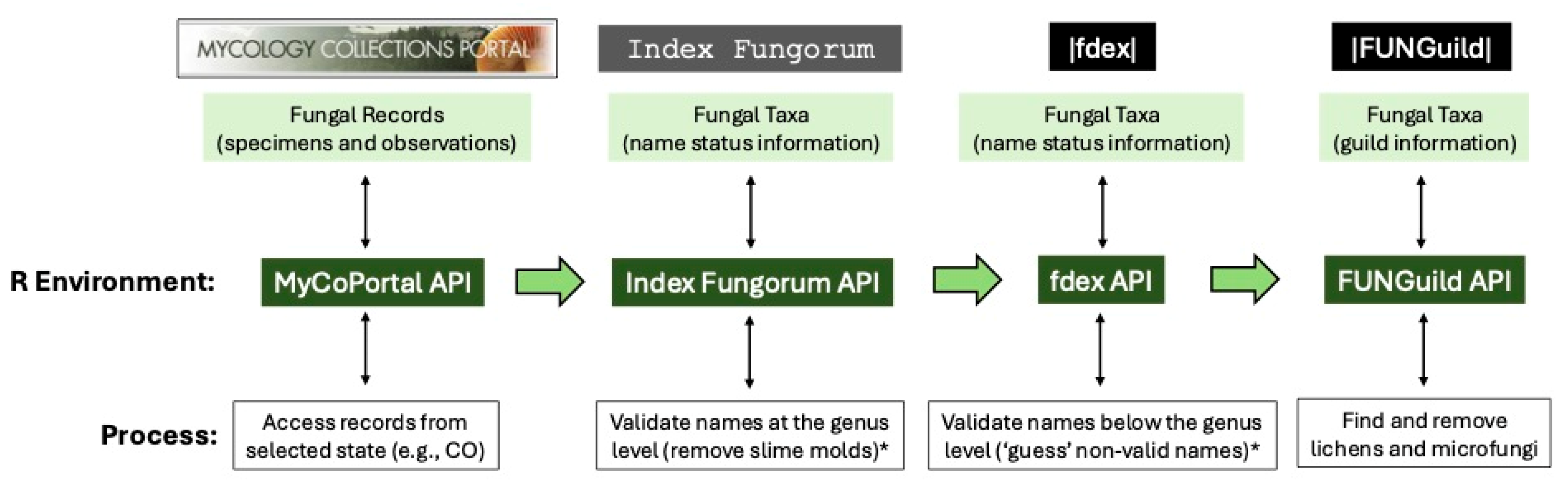 Conservation 05 00024 g001