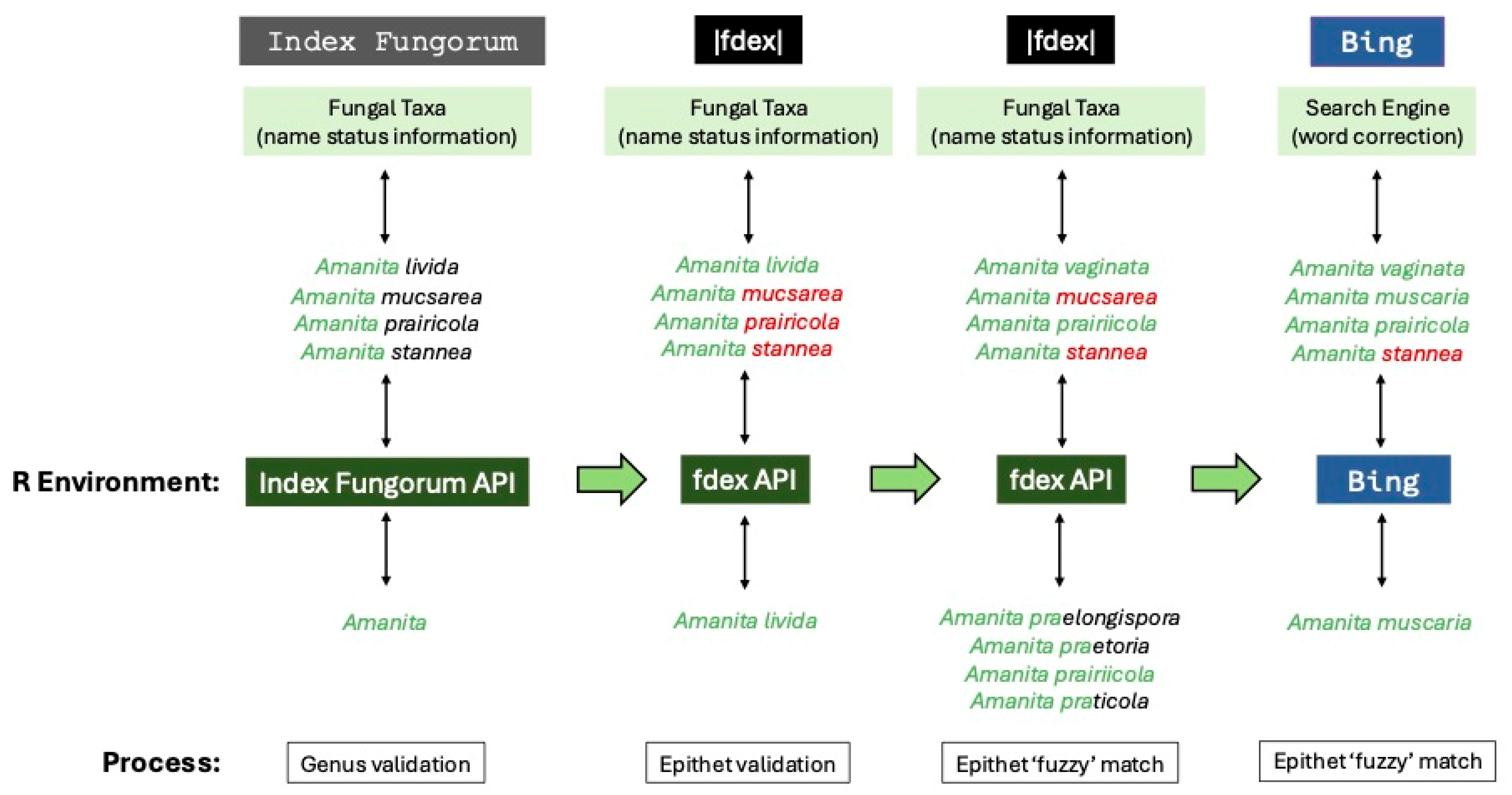 Conservation 05 00024 g002
