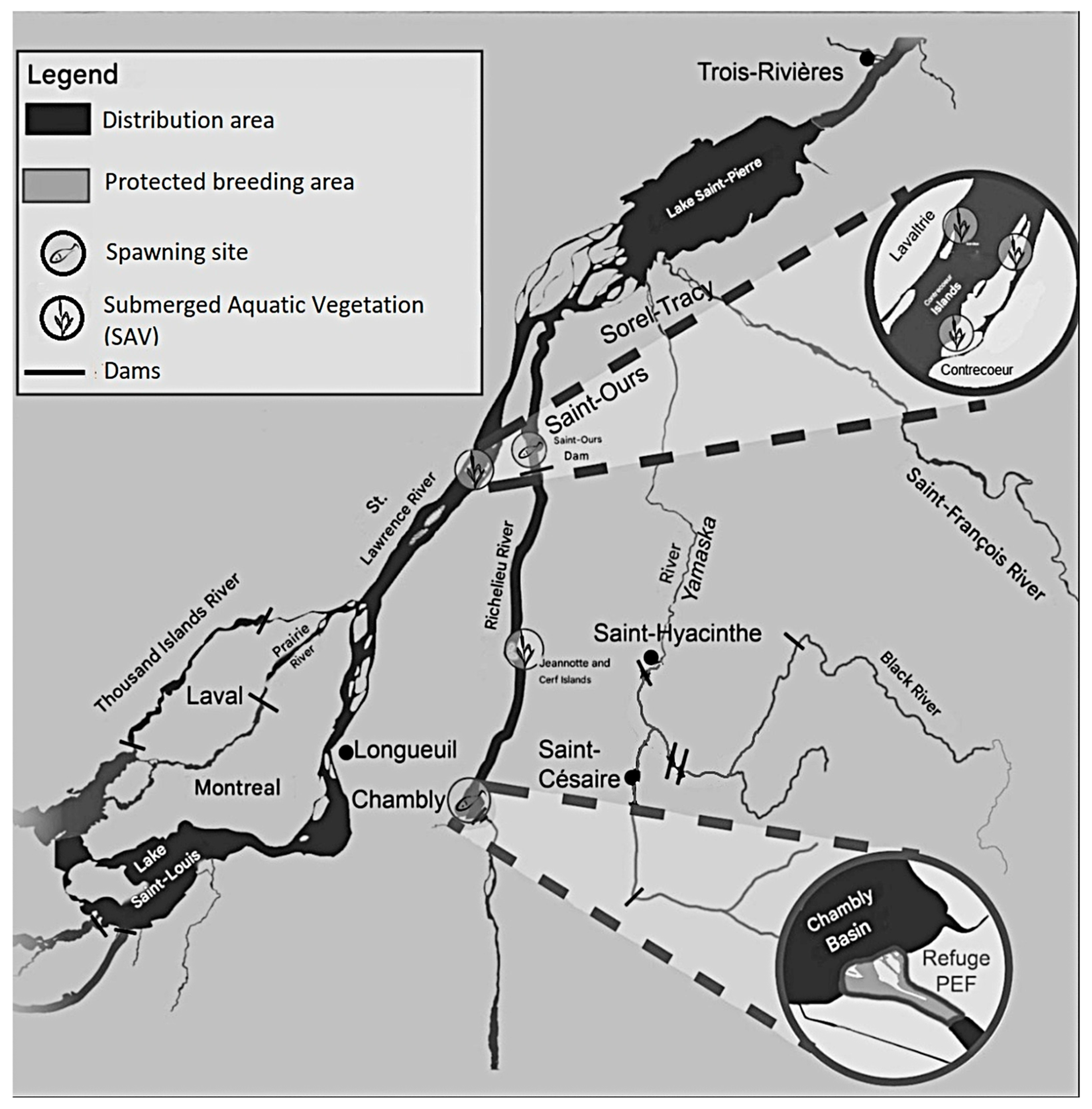 Conservation 05 00027 g008