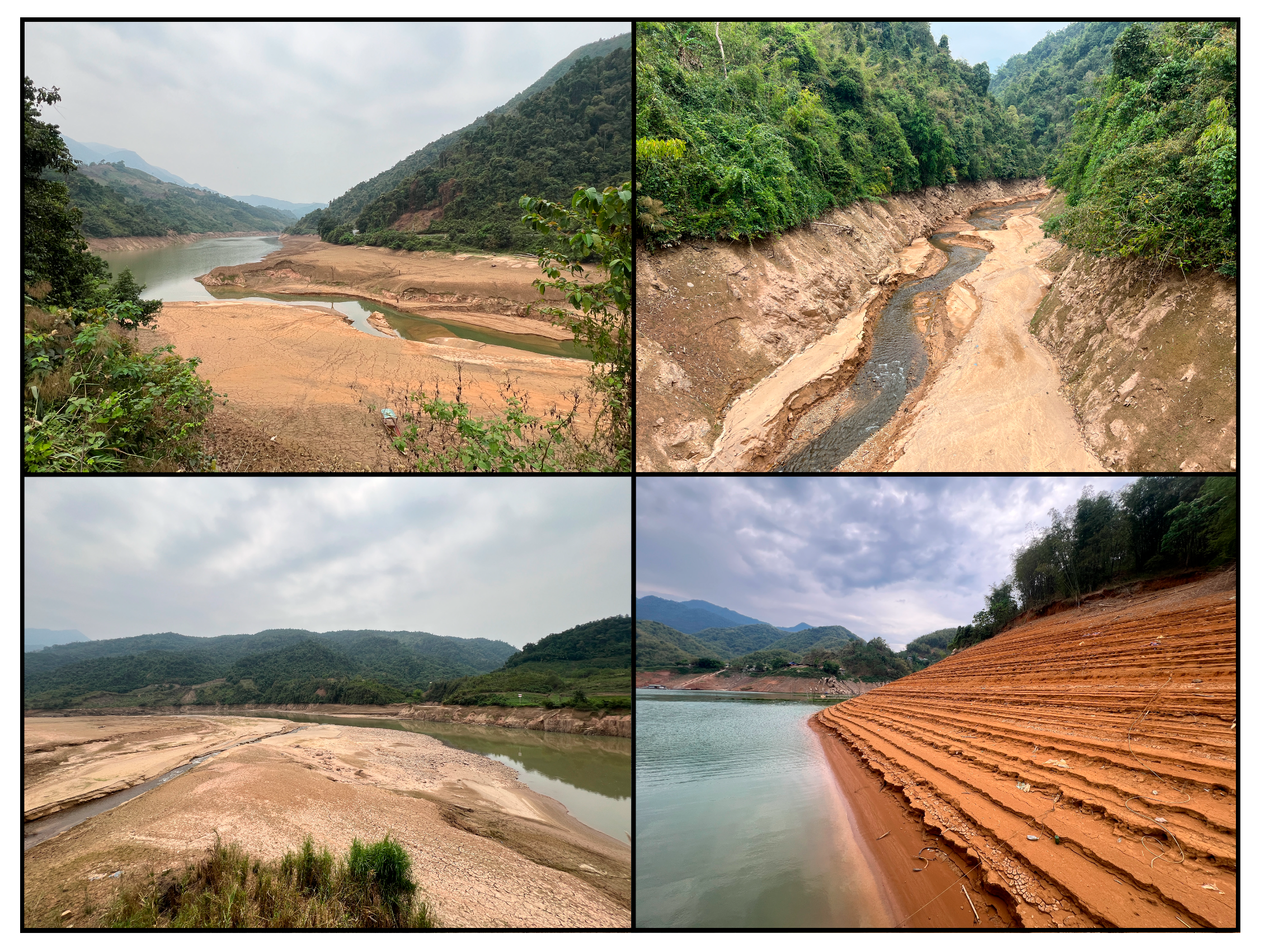 Conservation 05 00032 g002