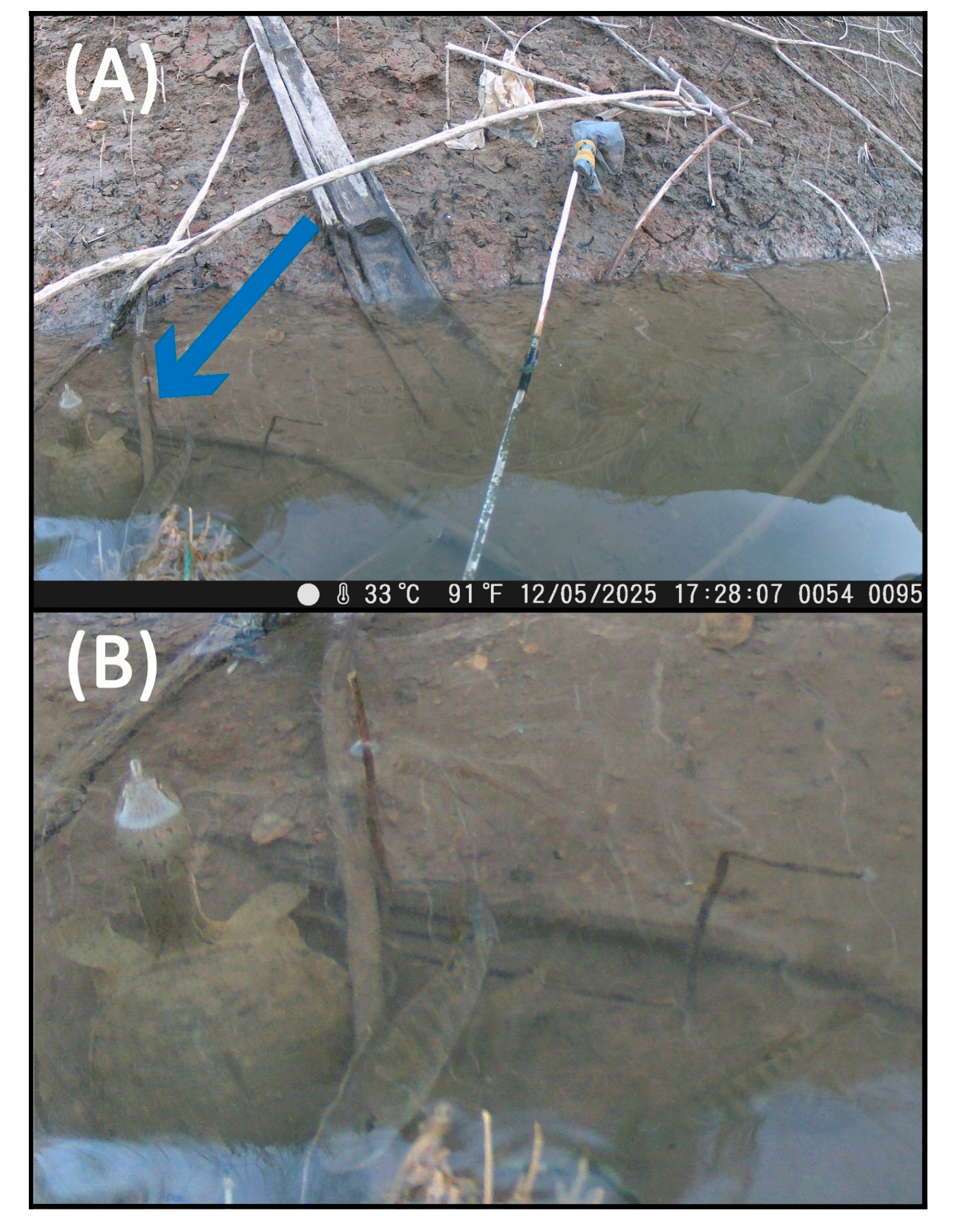 Conservation 05 00032 g0a1