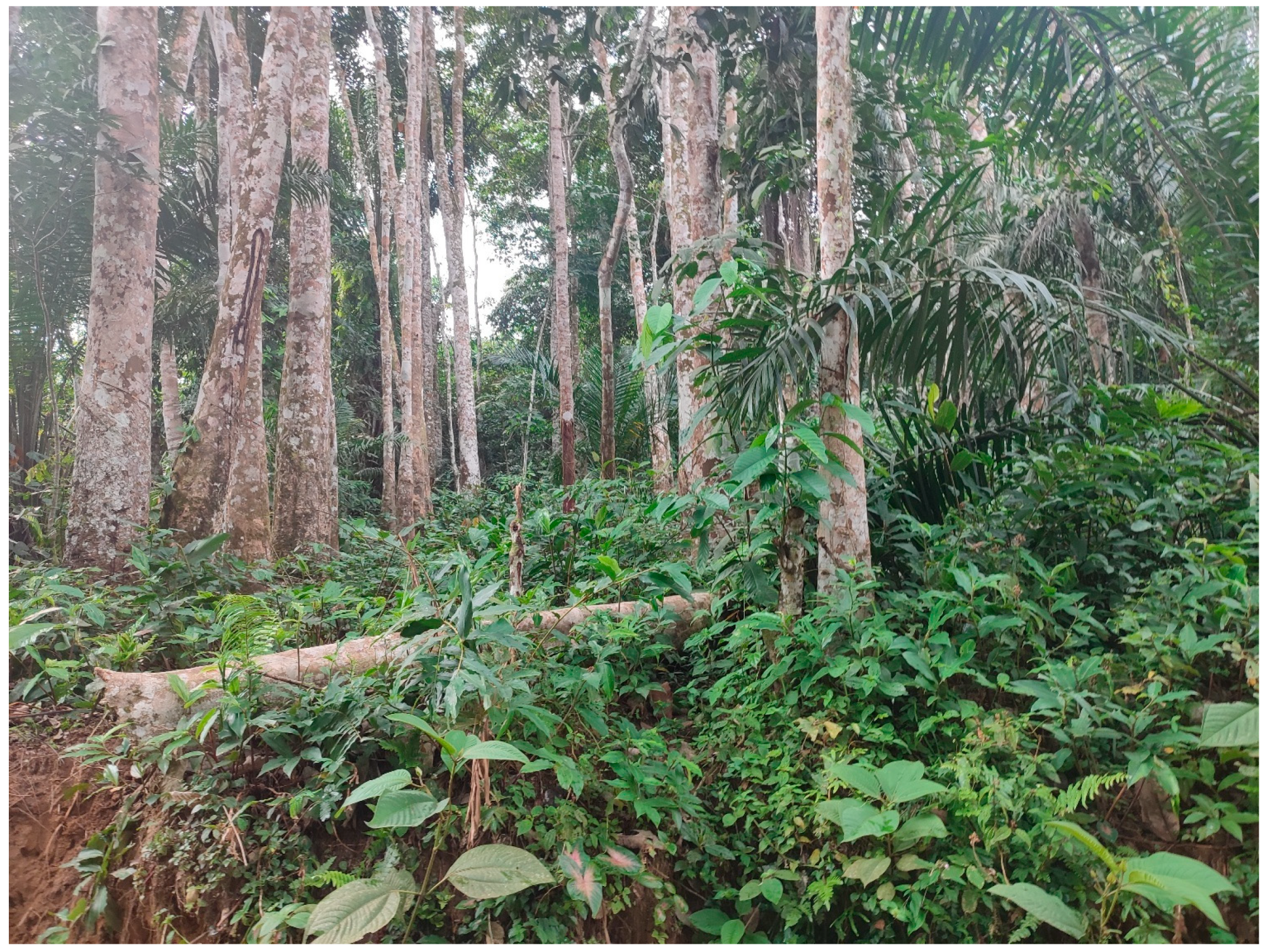 Conservation 05 00033 g001