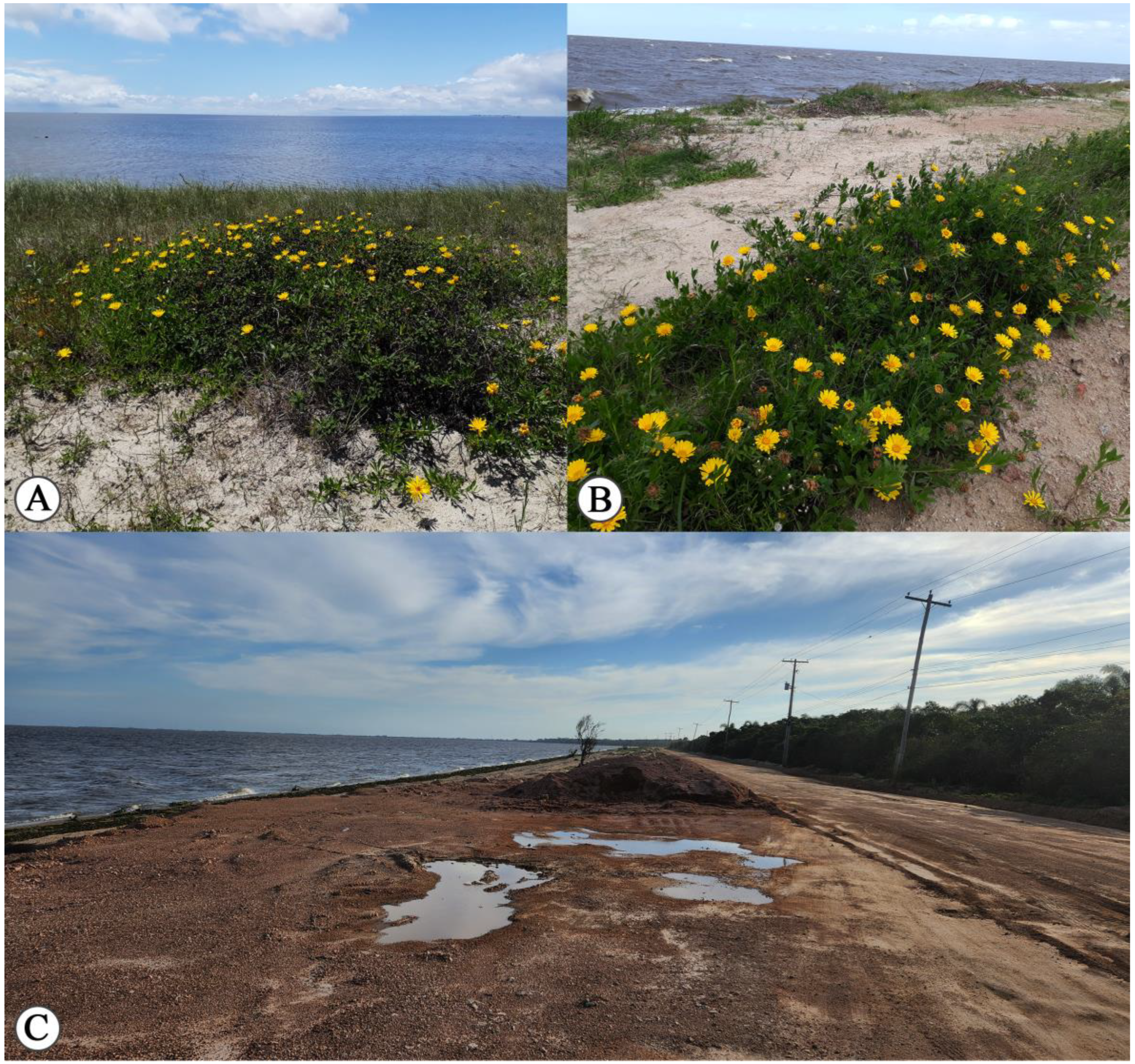 Conservation 05 00036 g007 Conservation 05 00036 g007