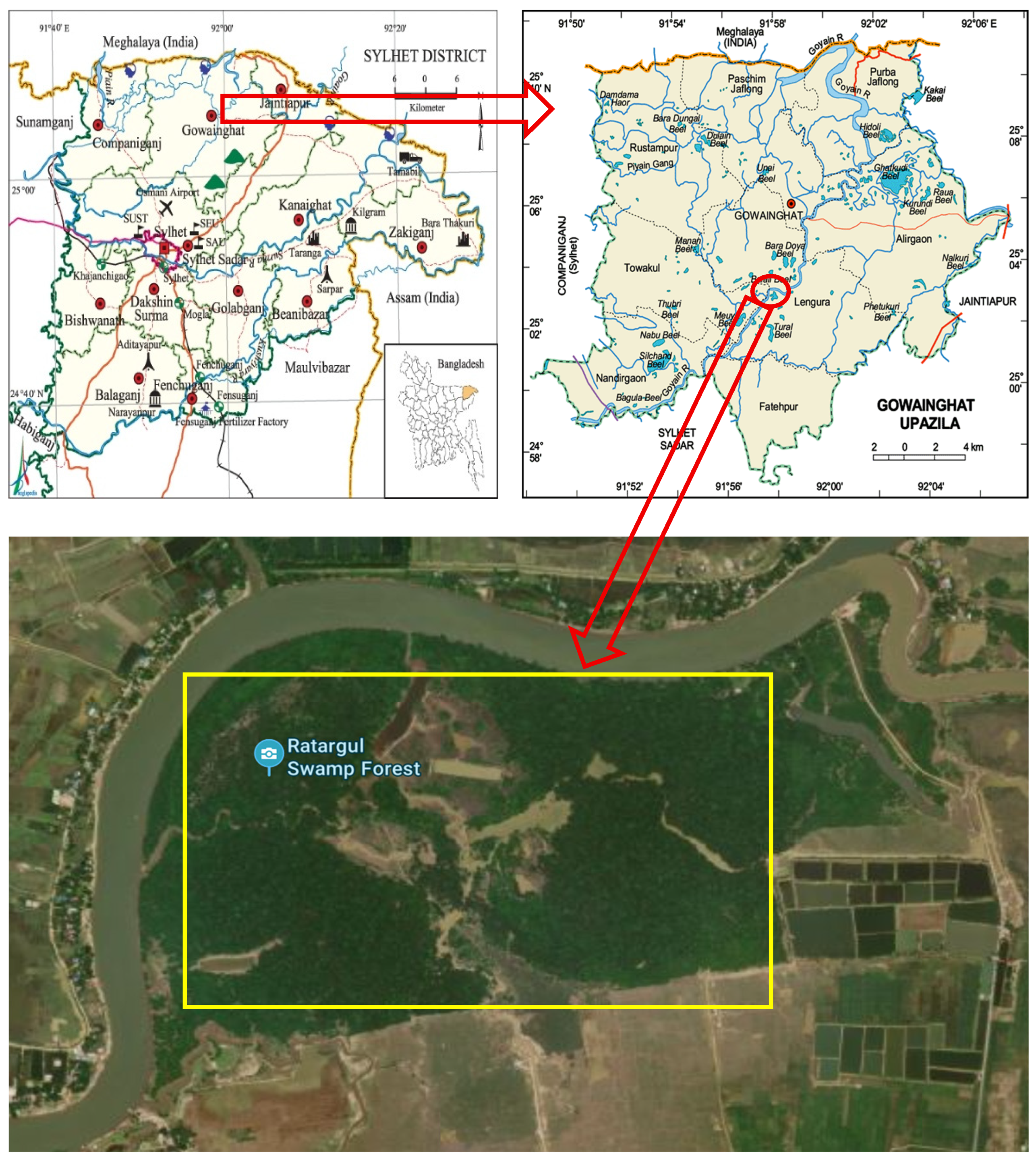 Conservation 05 00043 g001