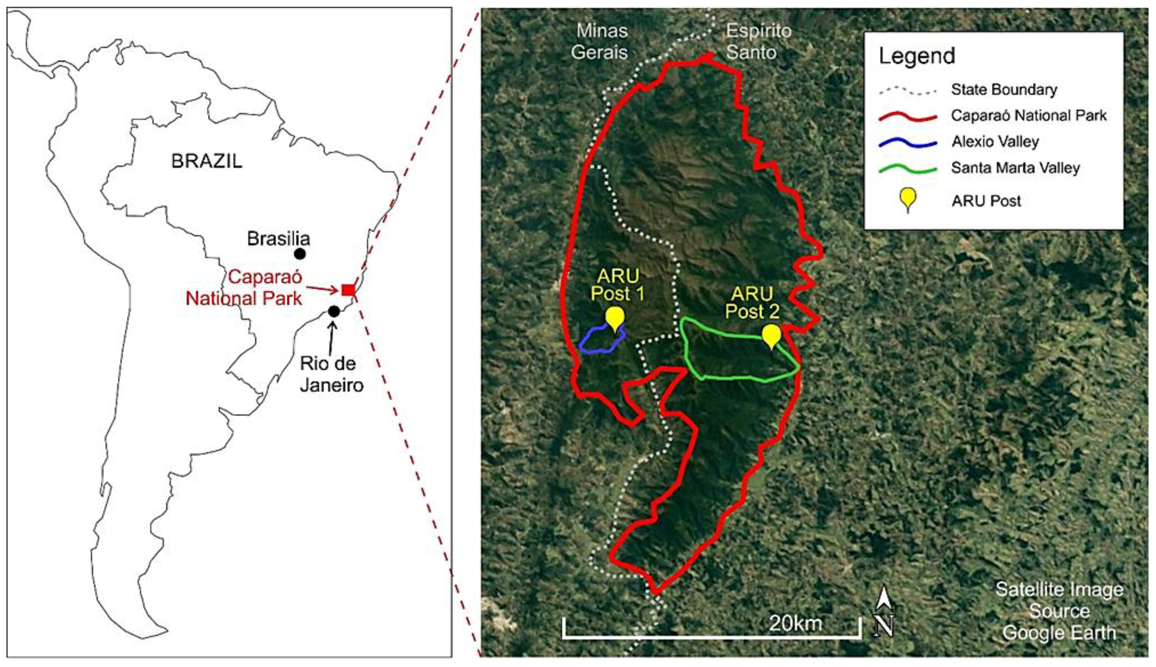 Soundscapes: Species Richness and Community Composition of