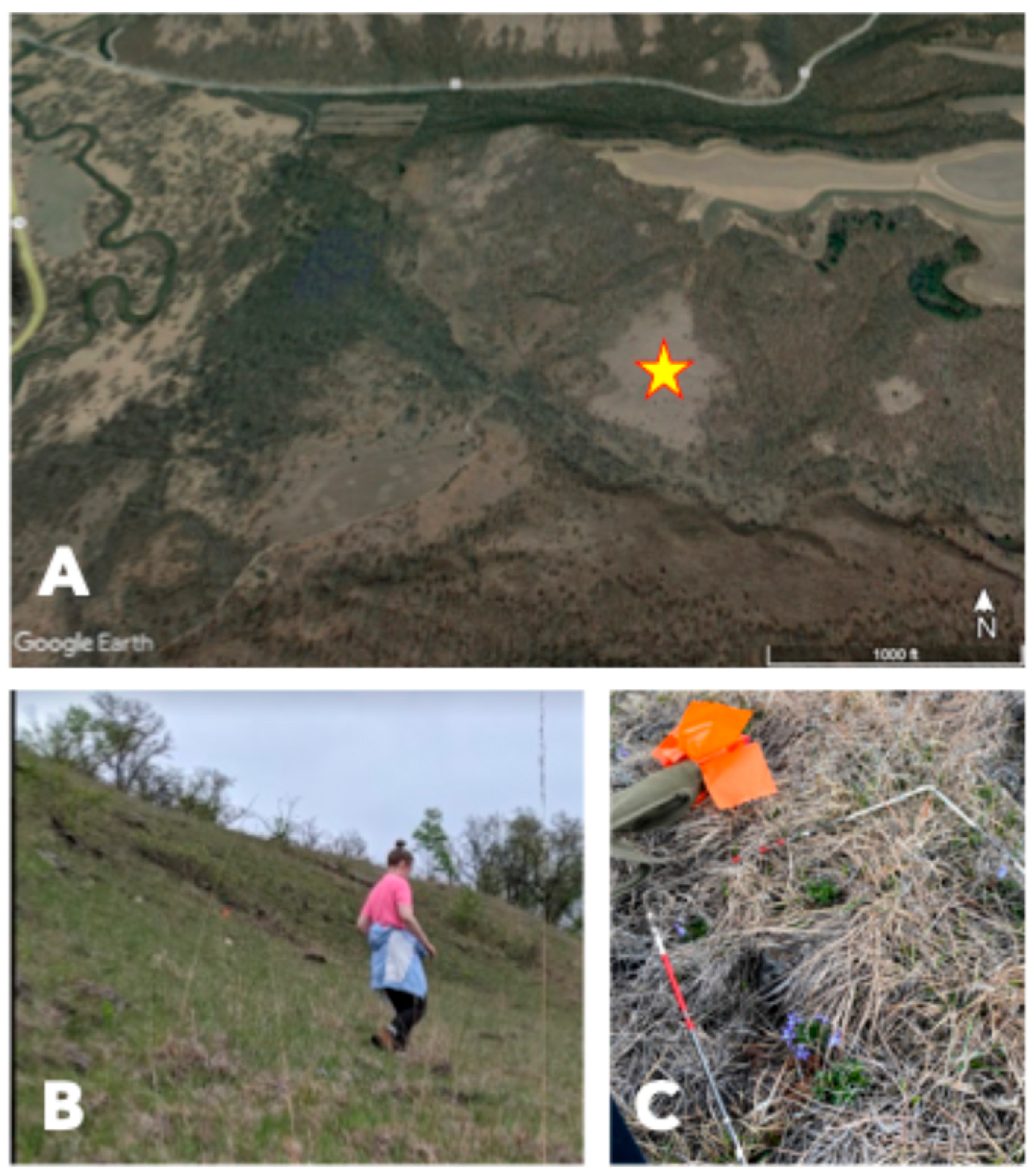 Conservation 05 00058 g002 Conservation 05 00058 g002