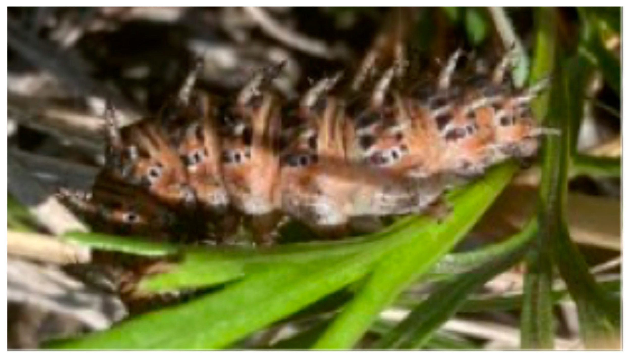 Conservation 05 00058 g007 Conservation 05 00058 g007