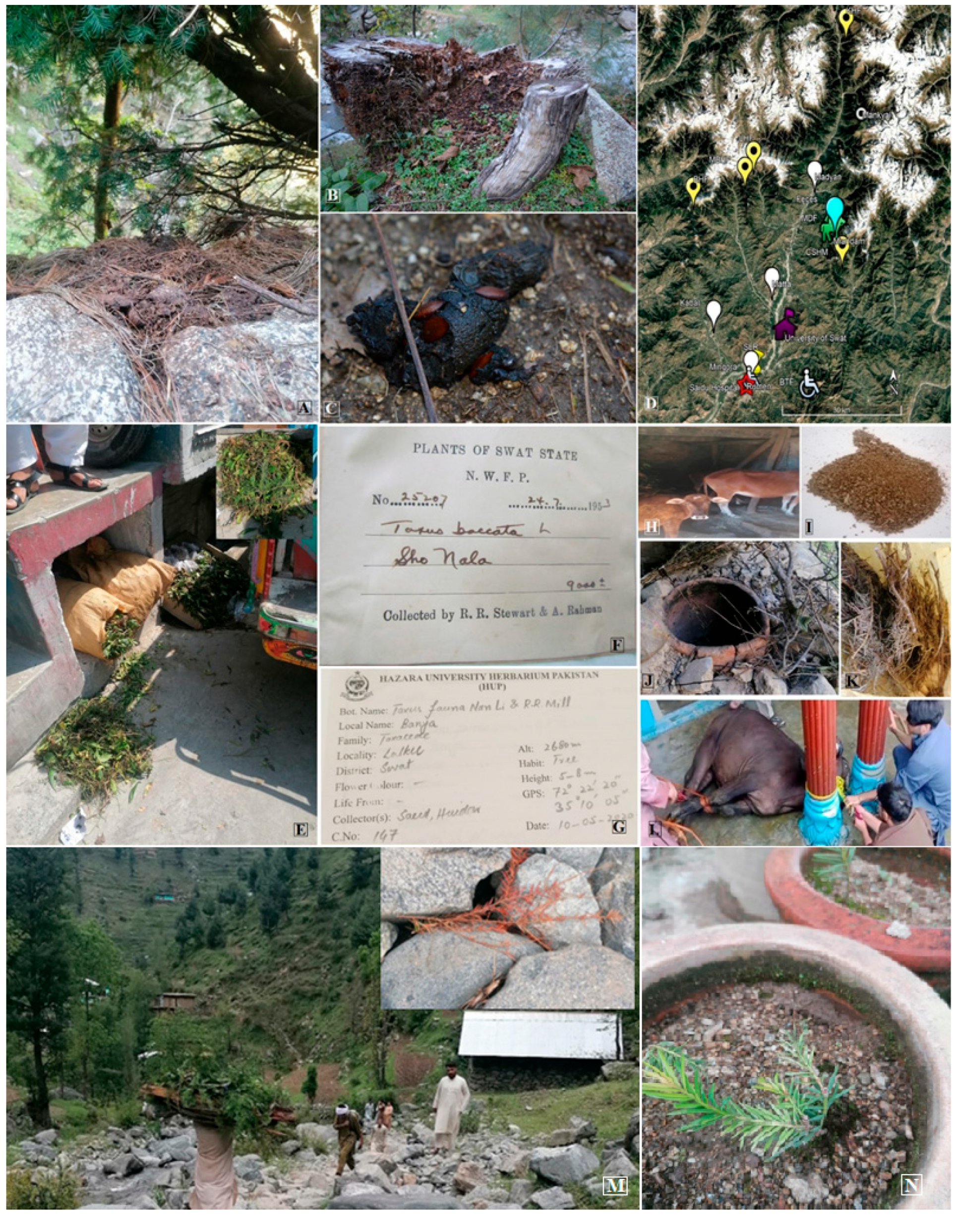 Conservation 05 00062 g001 Conservation 05 00062 g001