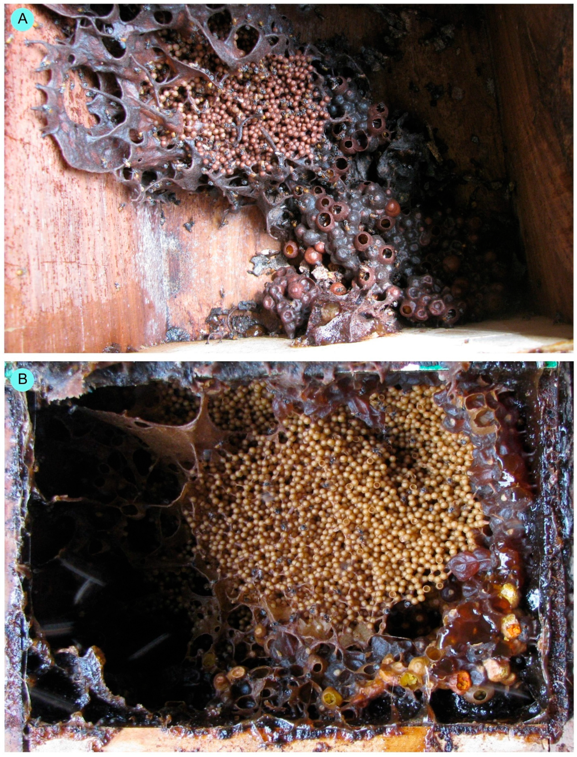 Conservation 05 00063 g003 Conservation 05 00063 g003