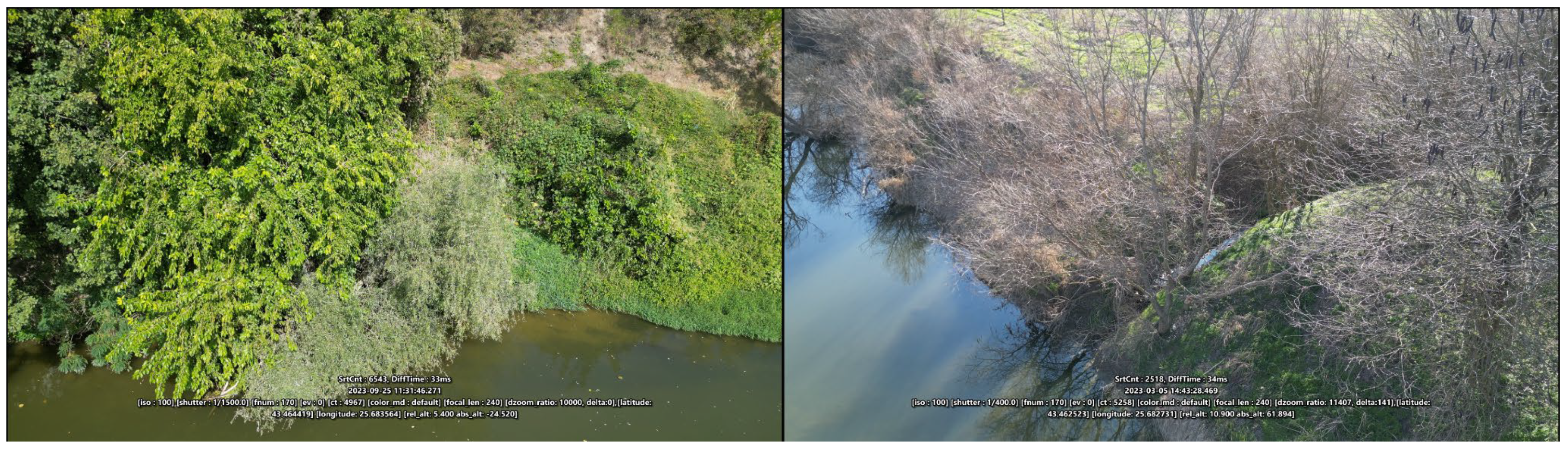 Conservation 05 00074 g001