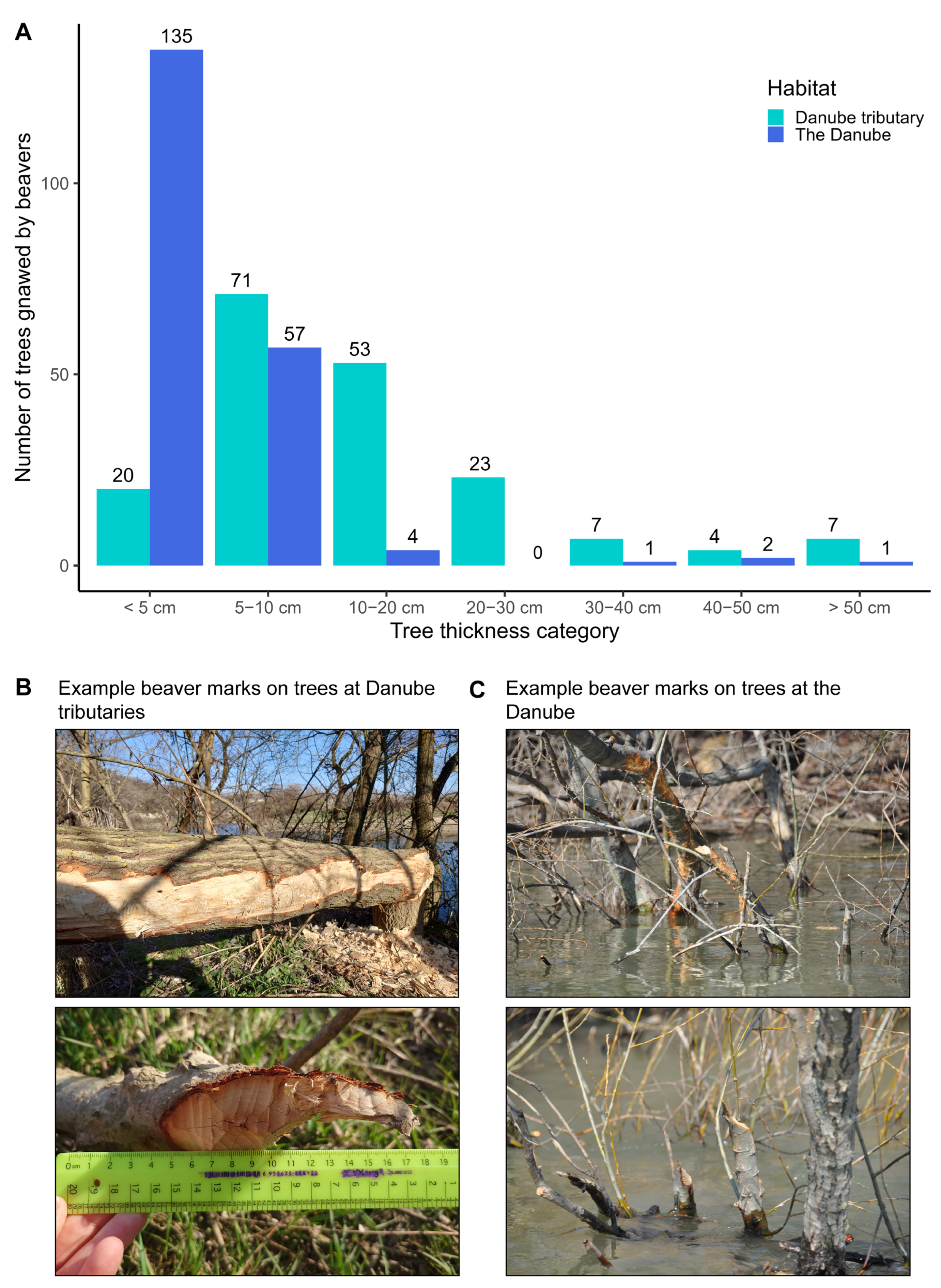 Conservation 05 00074 g004