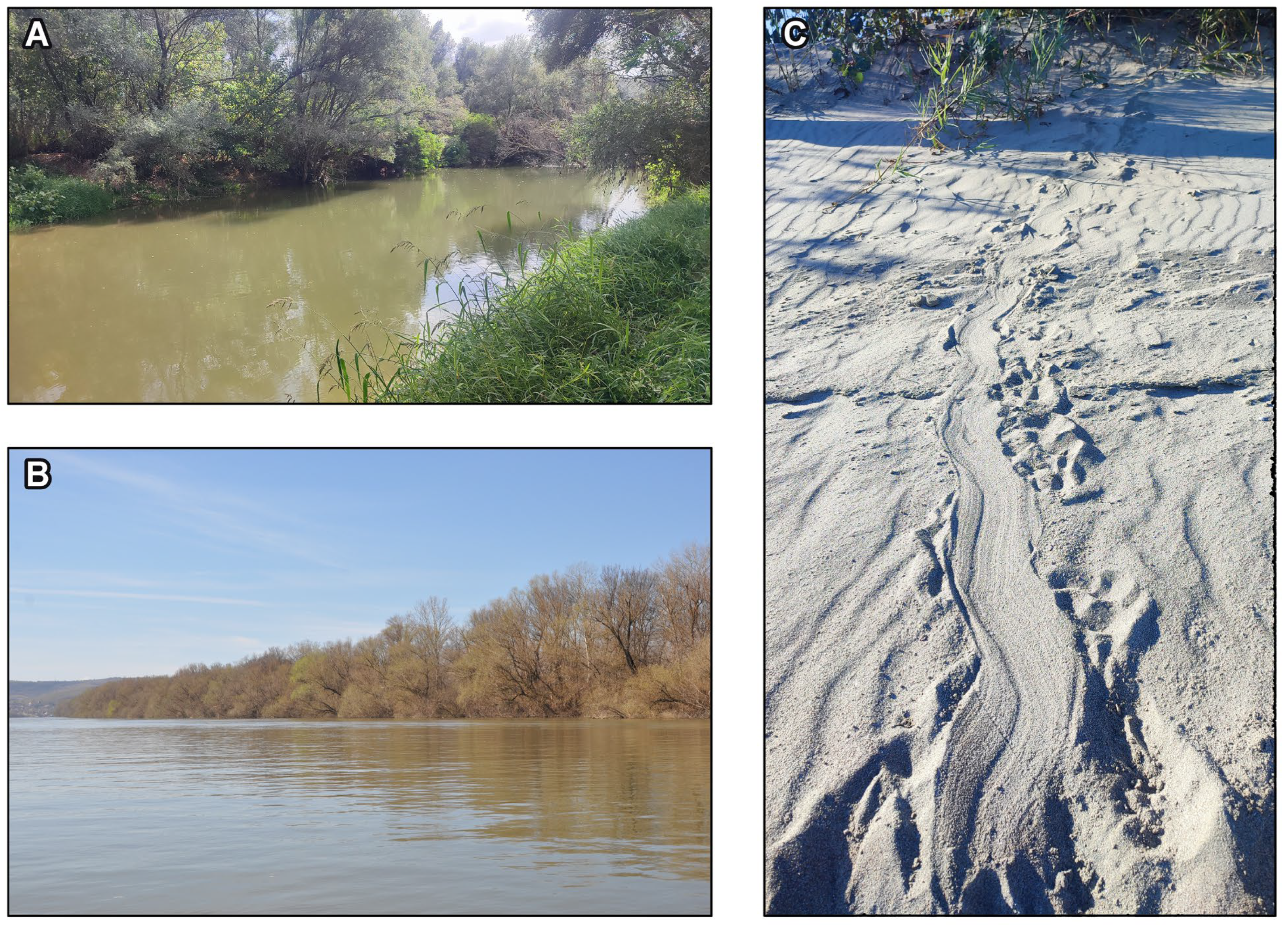 Conservation 05 00074 g012