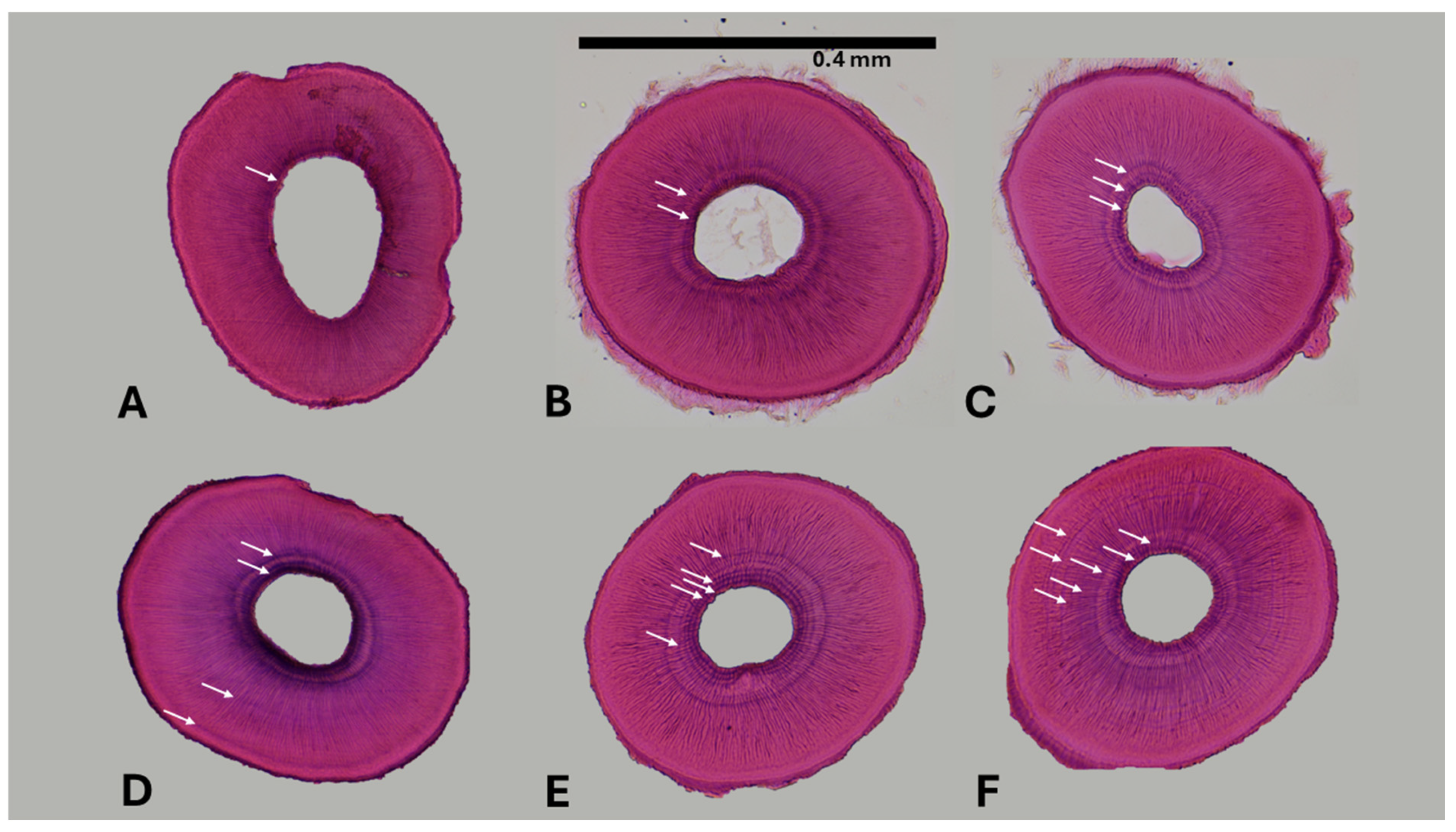 Conservation 06 00003 g002 Conservation 06 00003 g002