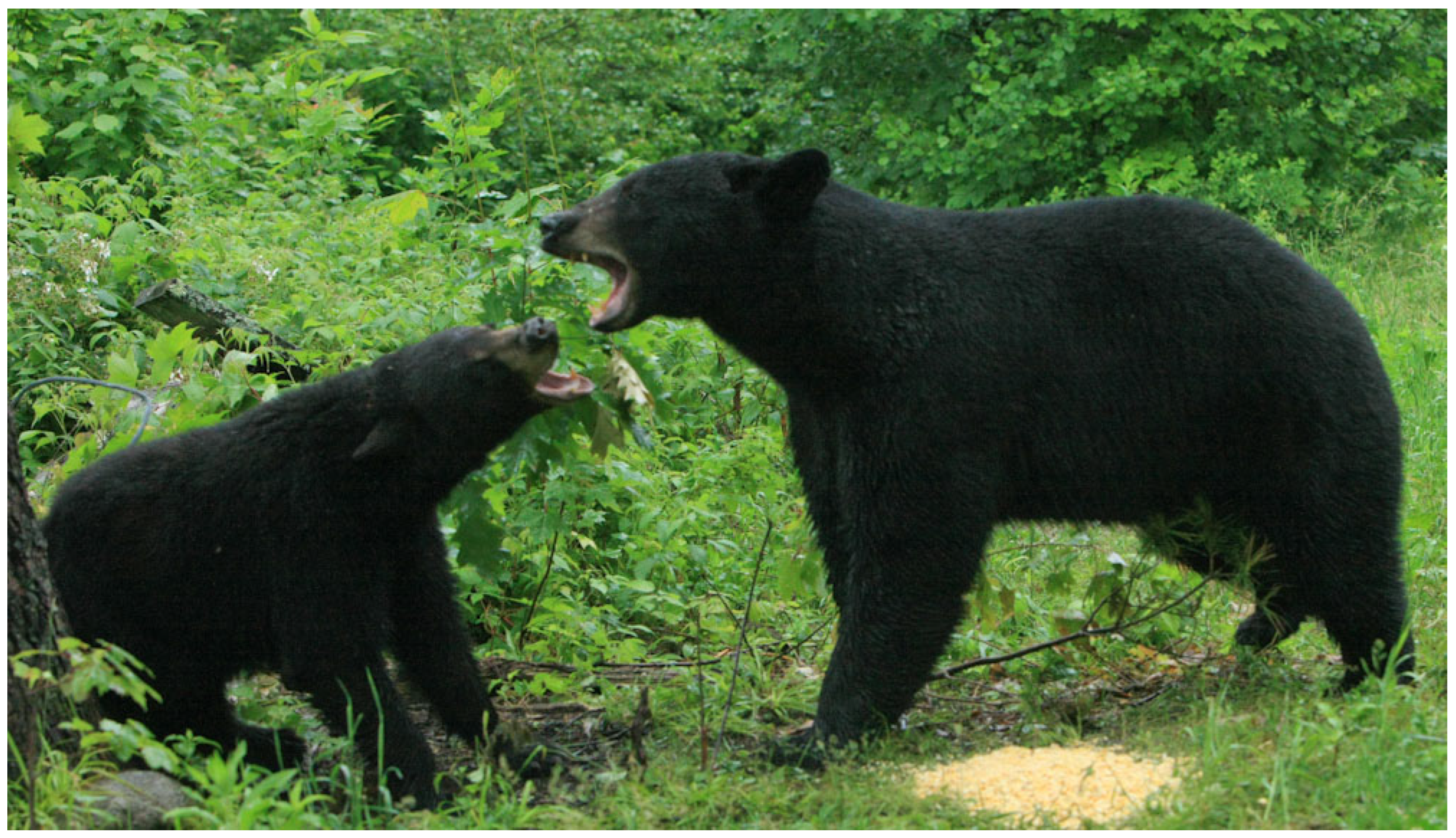 Conservation 06 00017 g002