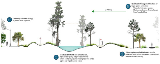 Wild Paths and Green Infrastructure in City Plans: Reimagining