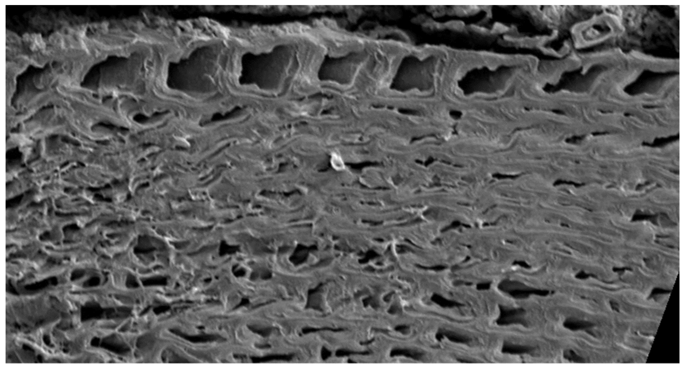 Constrmater 02 00001 g001