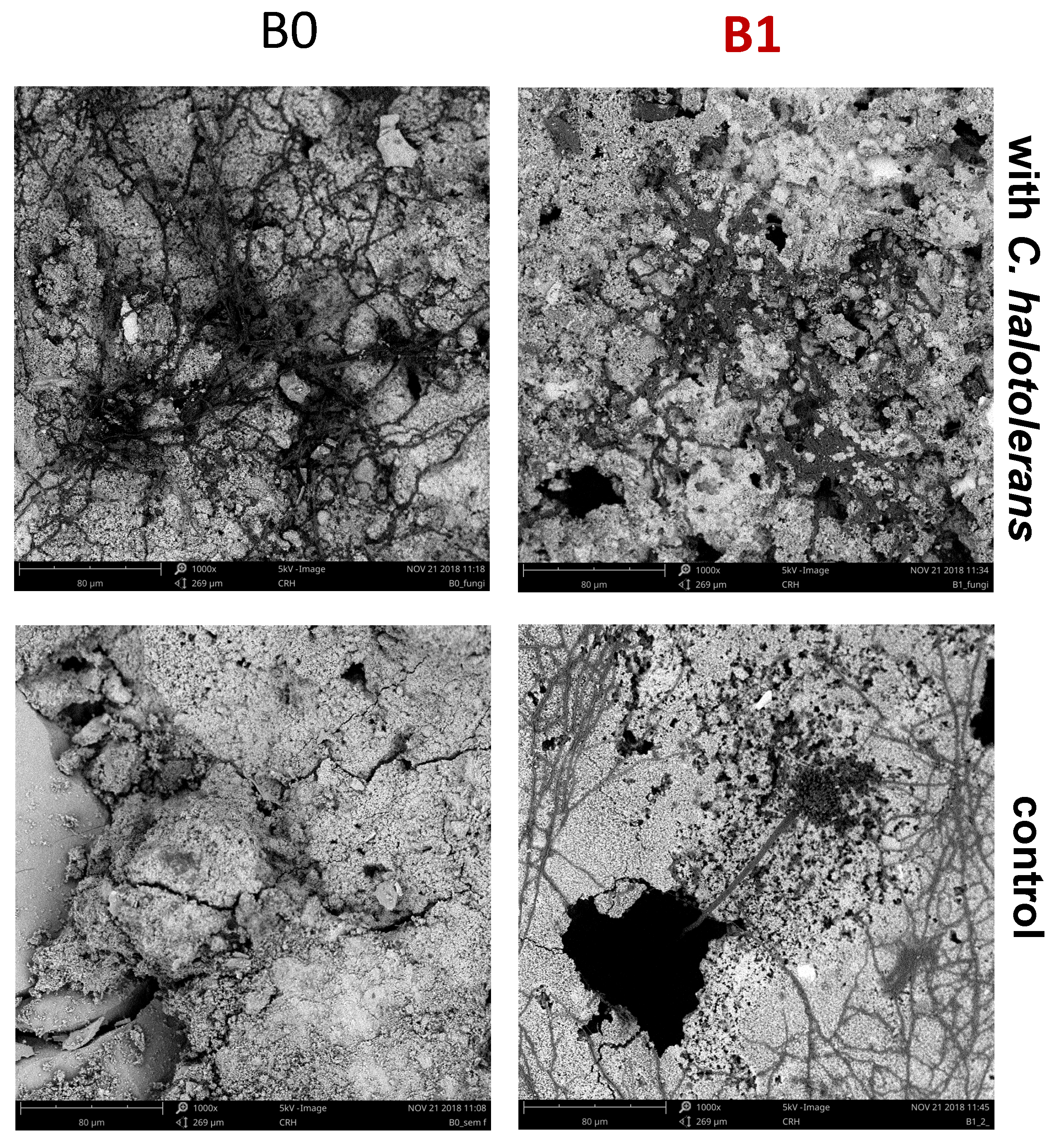 Constrmater 02 00003 g004 550