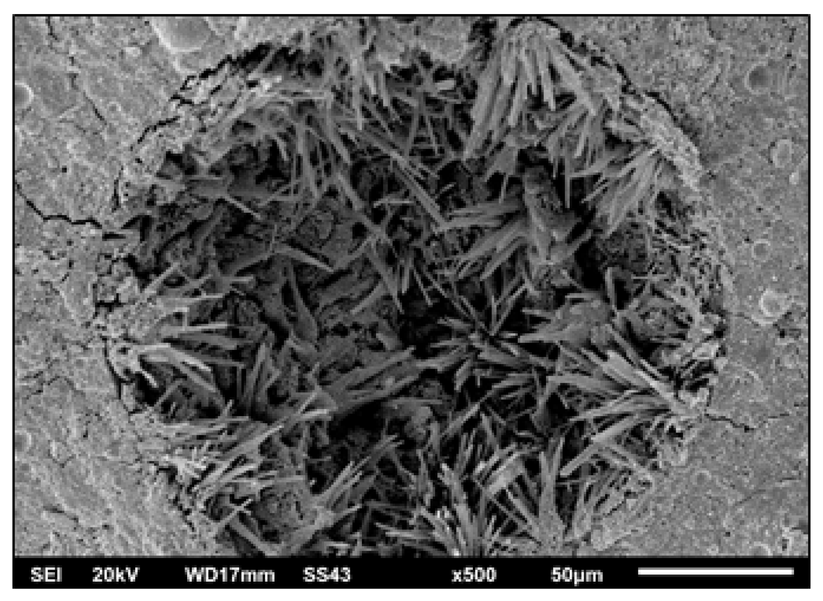 Constrmater 02 00018 g003 Constrmater 02 00018 g003