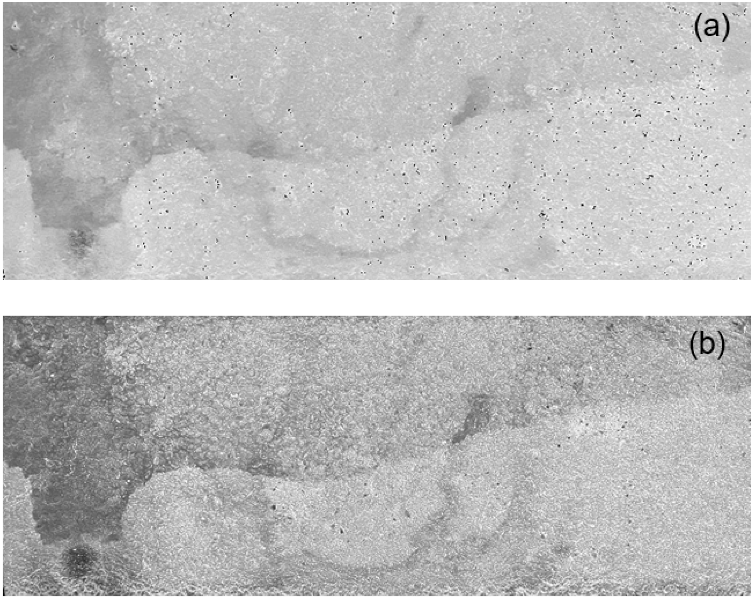 Constrmater 05 00007 g021